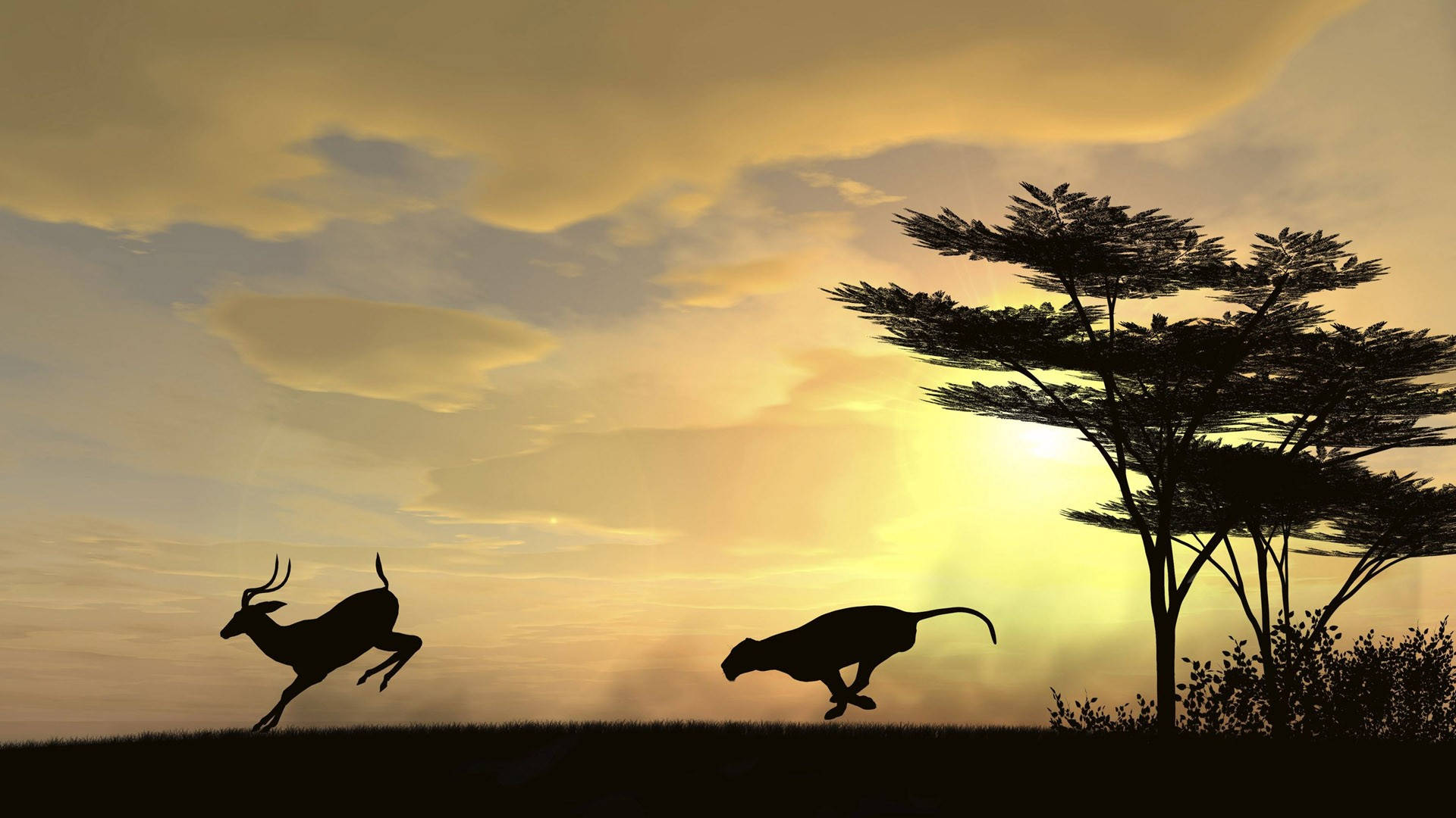 Leopard, Deer, Sunset, Full HD Desktop Wallpaper