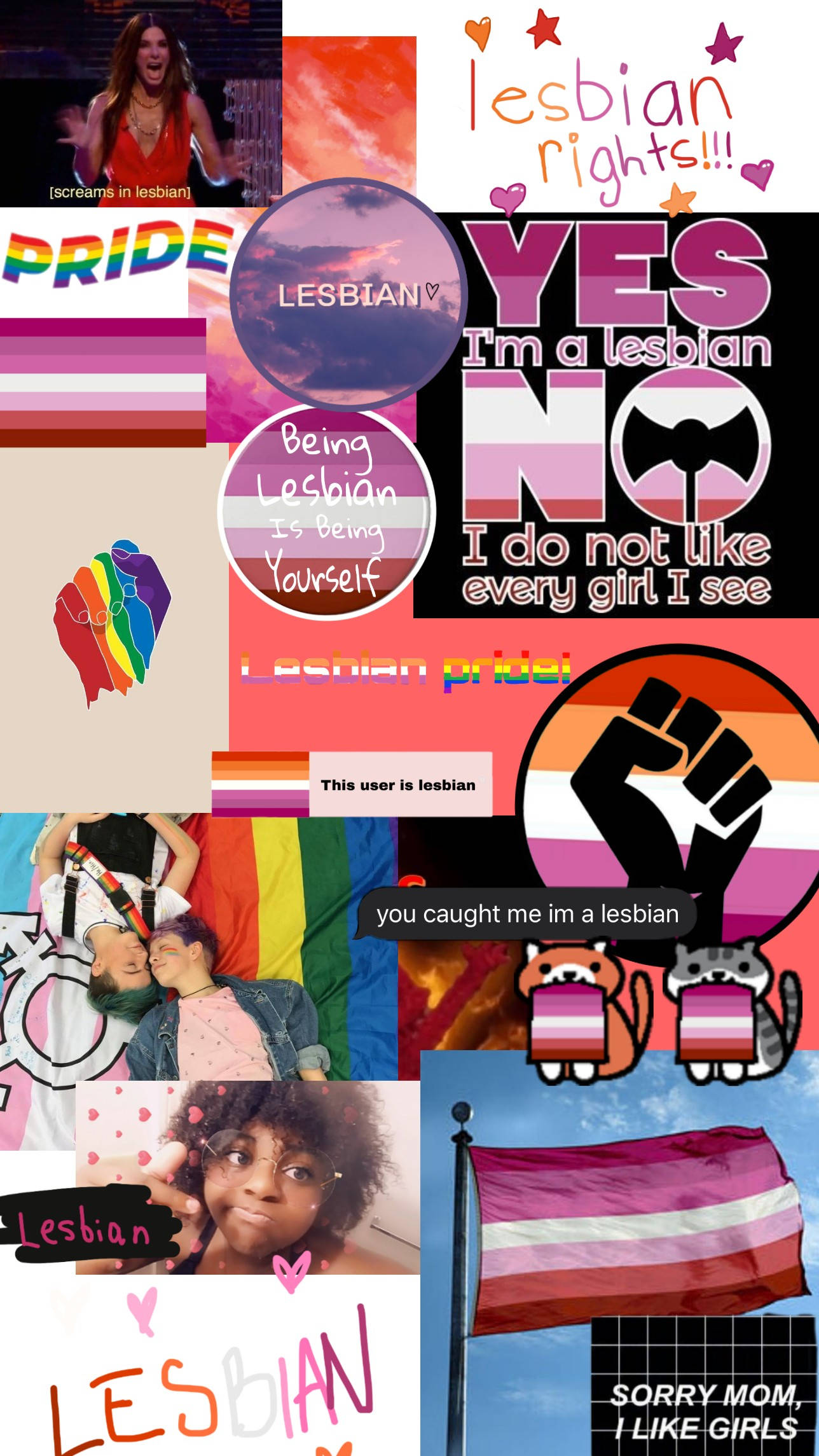Lesbian Aesthetic, rainbow flags, pride-themed graphics, Full HD Phone Wallpaper