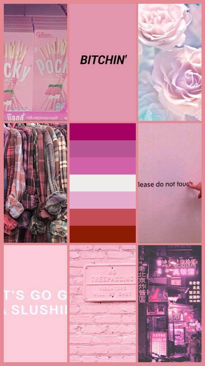 lesbian flag, pink, roses, HD Phone Wallpaper