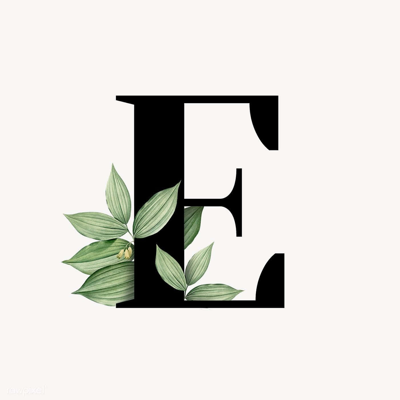 Letter E, black letter E, delicate green leaves, HD Desktop Wallpaper