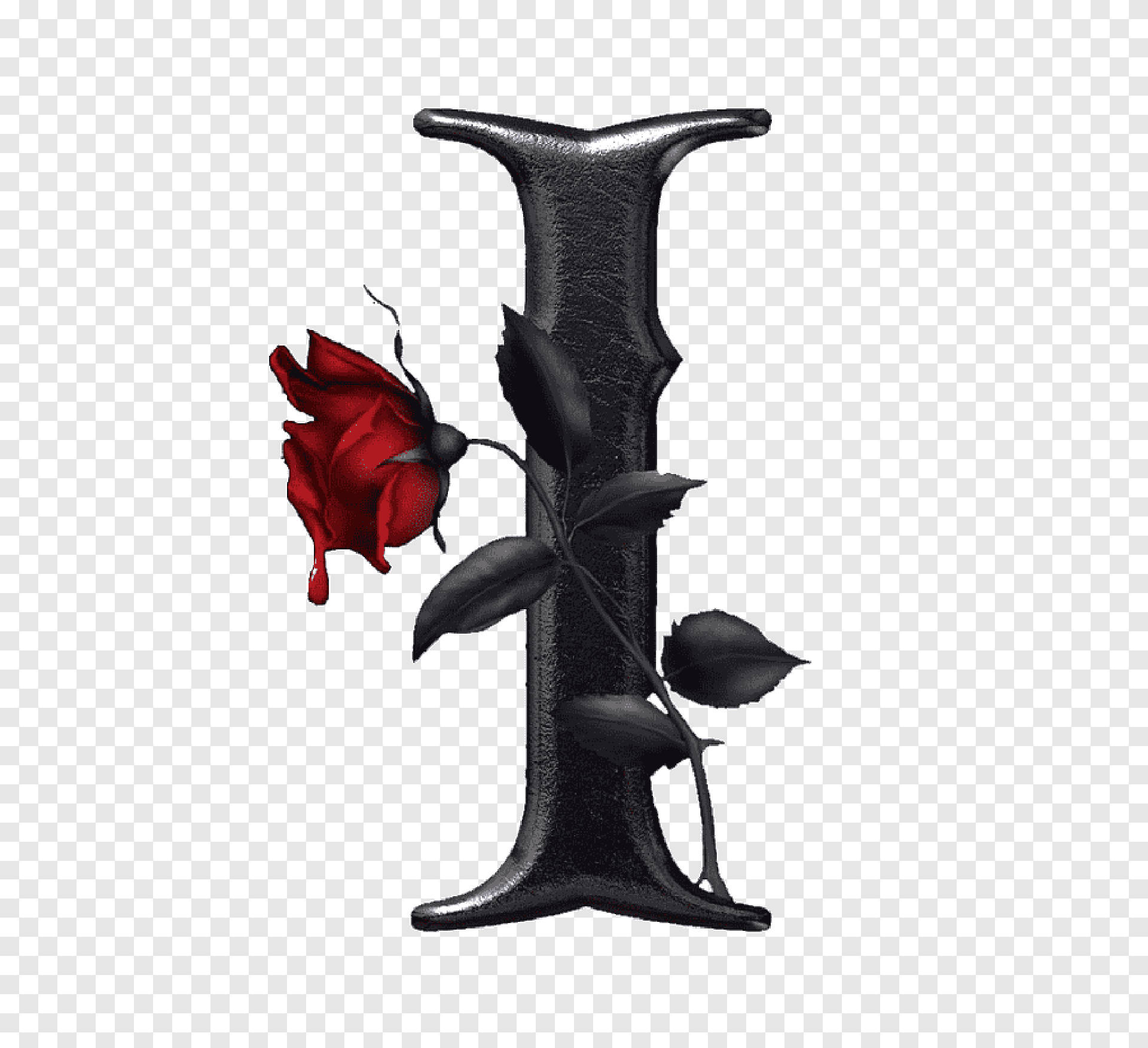 Black Letter I, vibrant red rose, dark leaves, Full HD Desktop Wallpaper