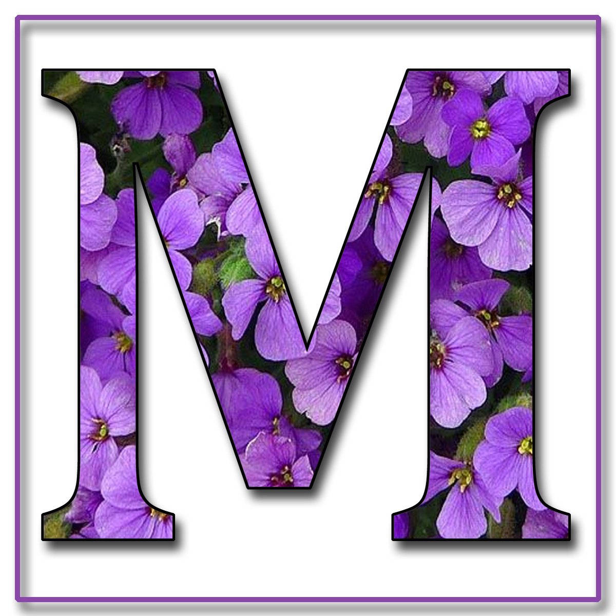 Letter M, purple flowers, green stems, SD Desktop Wallpaper