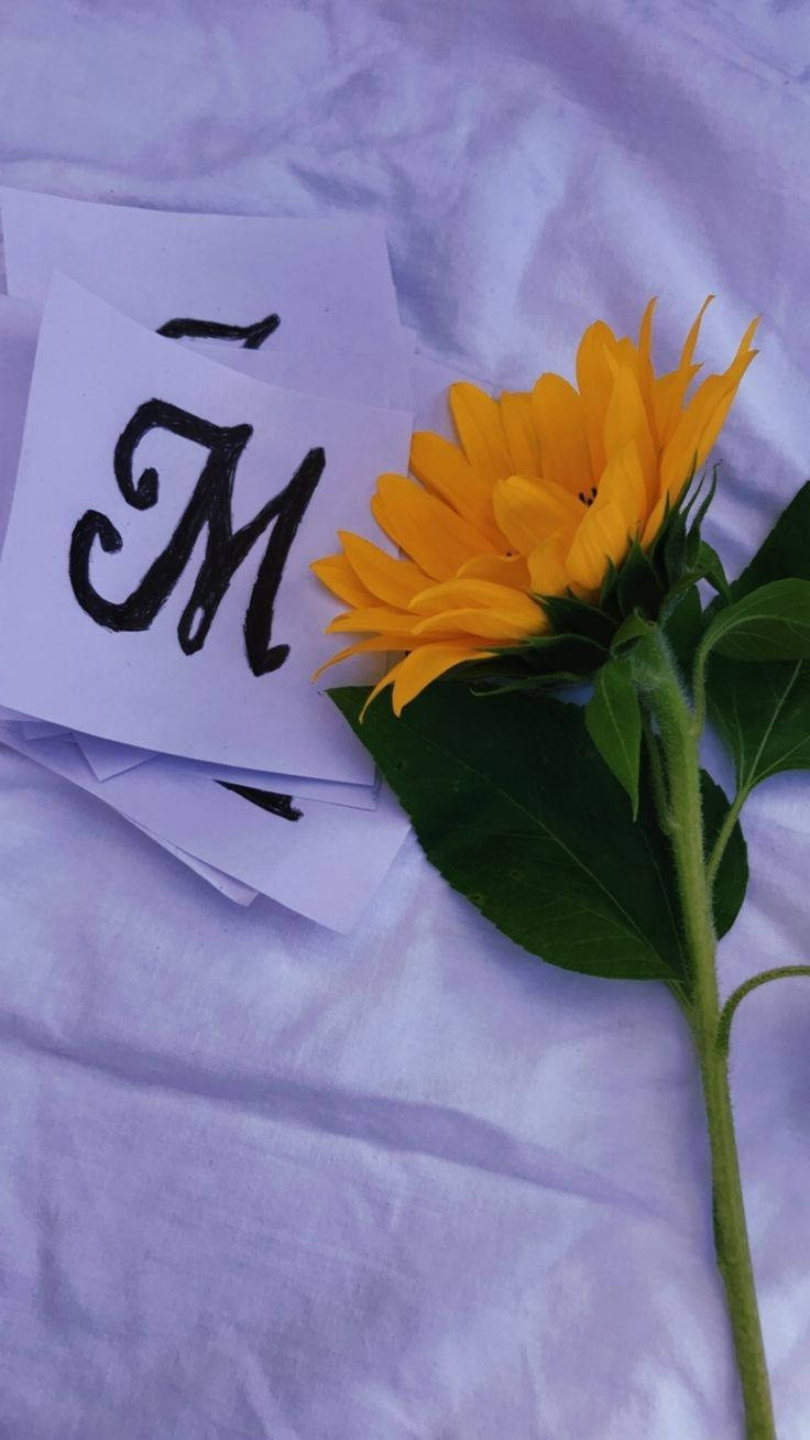 Golden 3D Letter M, sunflower, handwritten papers, HD Phone Wallpaper