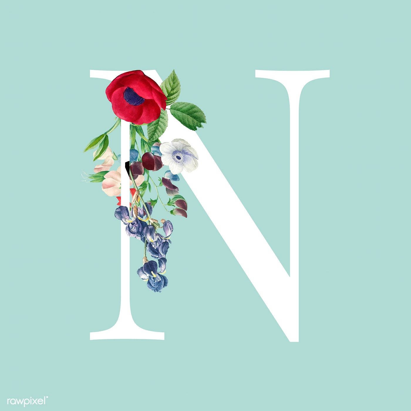 letter N, red poppies, blue flowers, HD Desktop Wallpaper