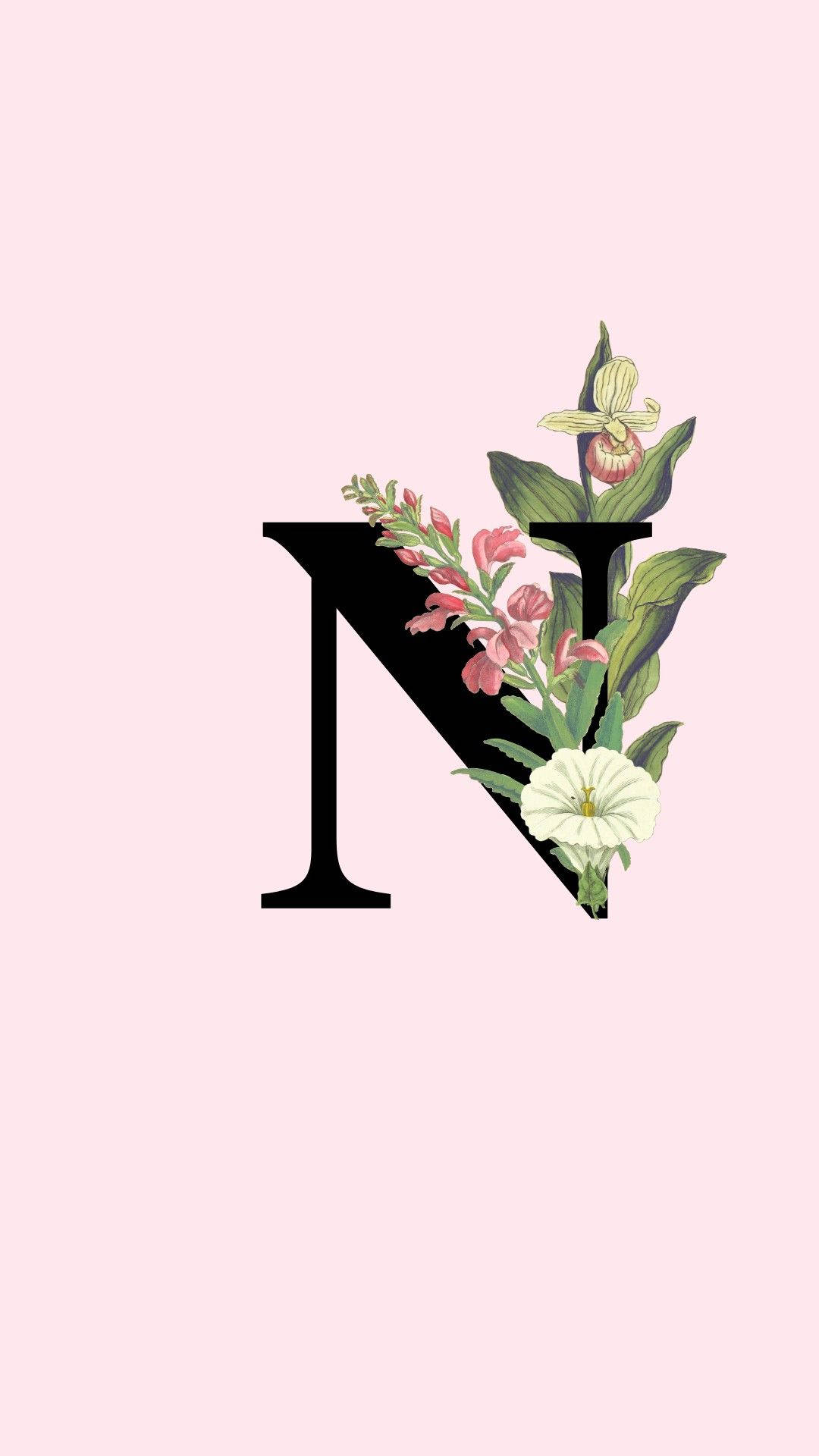 Letter N, pink flowers, white flowers, Full HD Phone Wallpaper