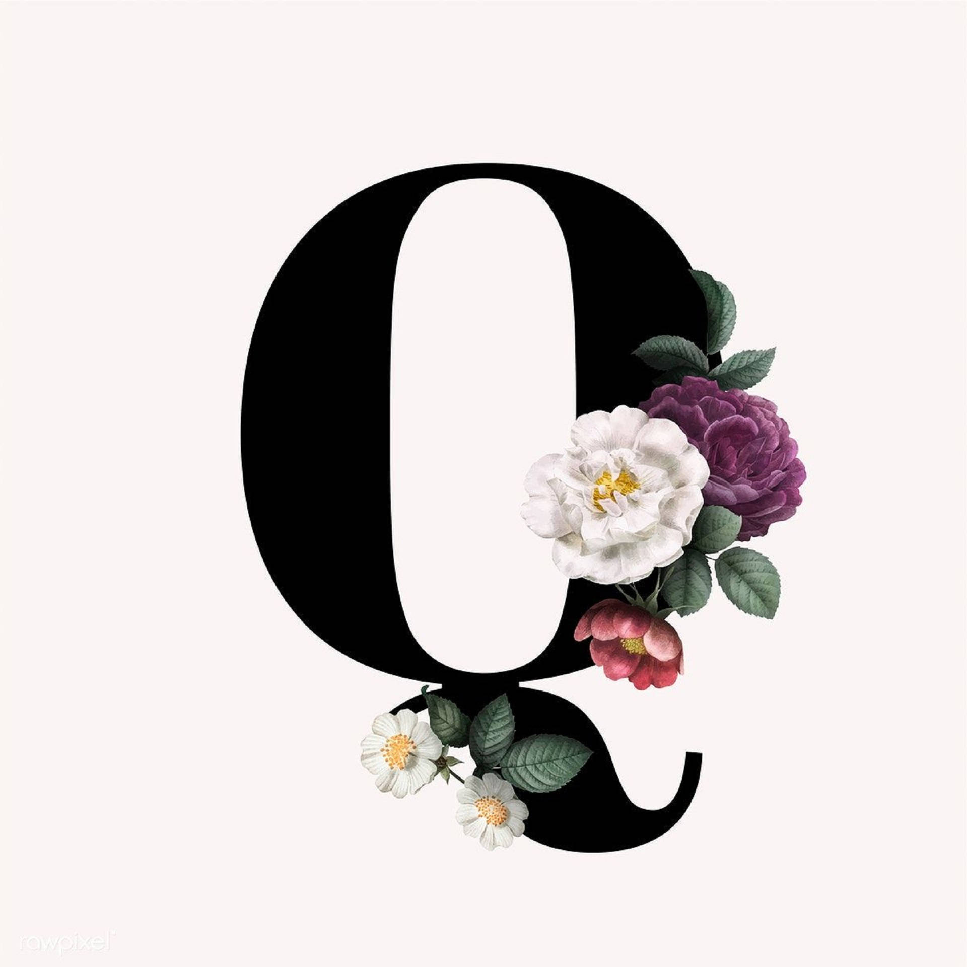 Letter Q, white flowers, pink flowers, Full HD Desktop Wallpaper