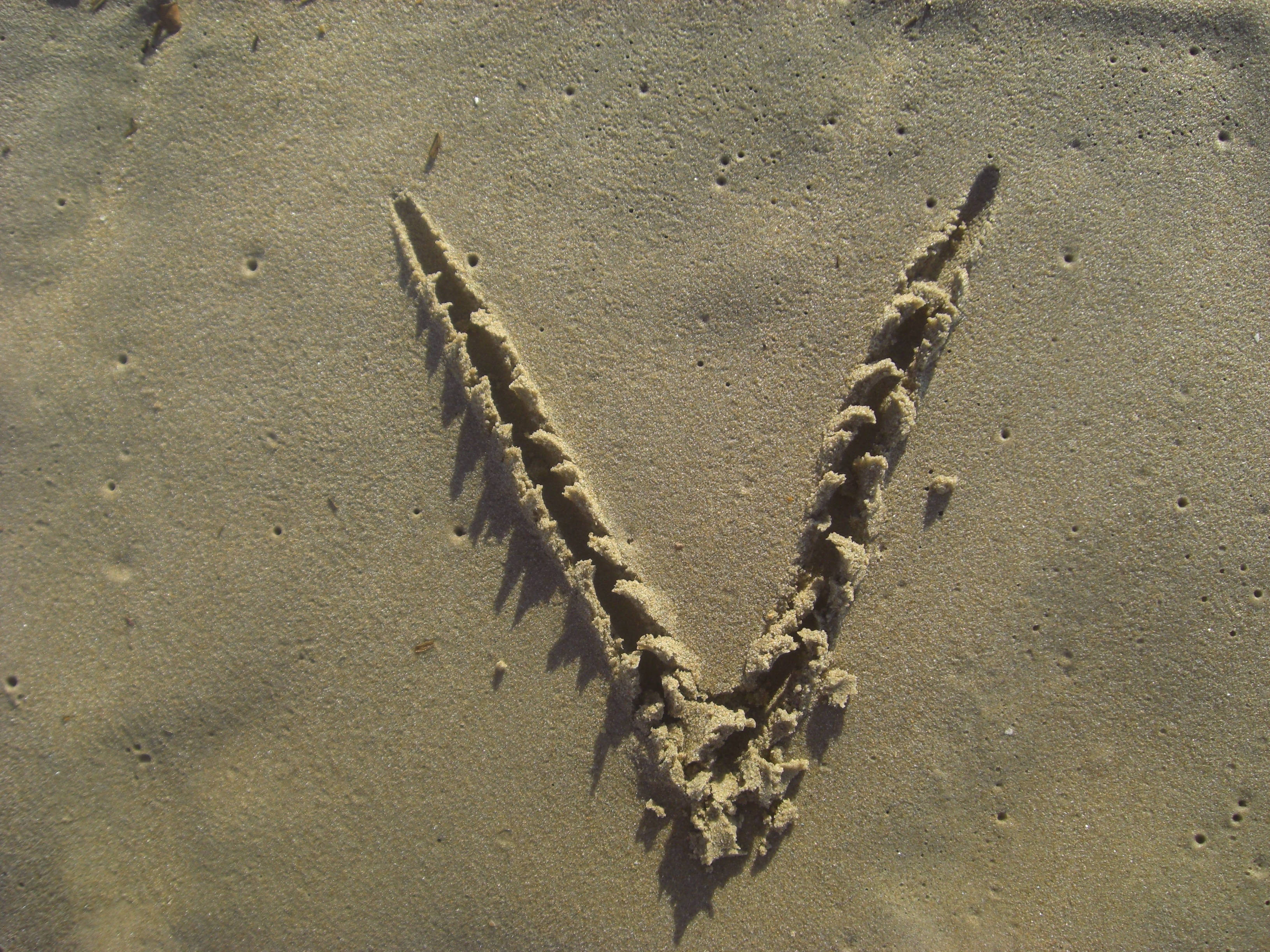 Letter V, wet sand, sharp textured edges, 2K Desktop Wallpaper