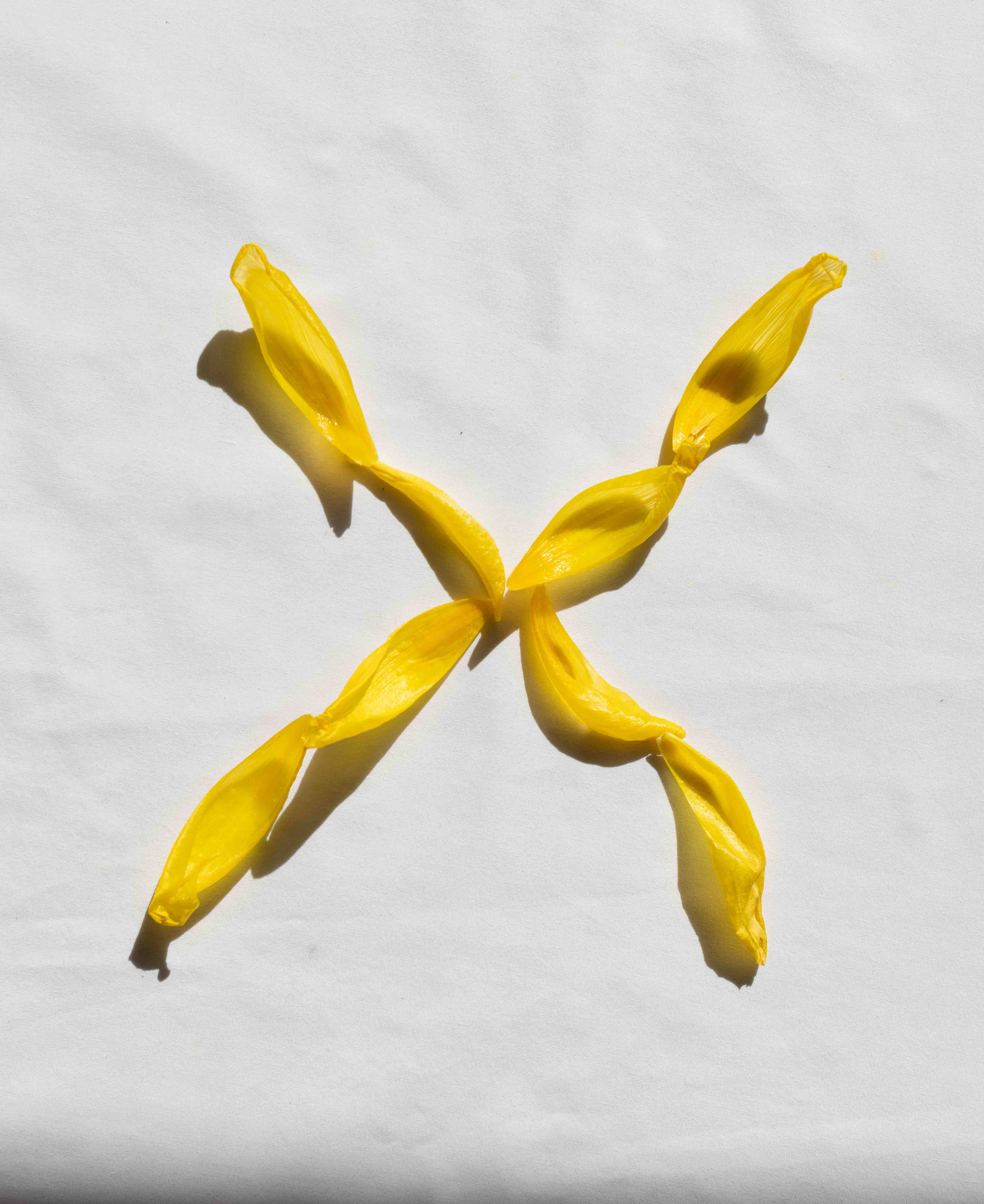 yellow petals, letter X, bright yellow balloon, 5K Phone Wallpaper