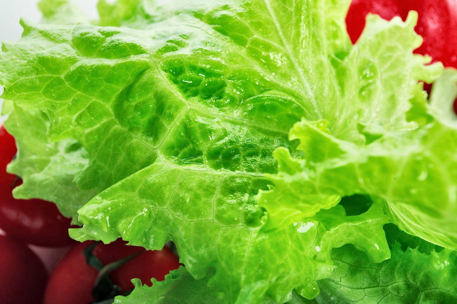 water droplets, vibrant green lettuce, bright red cherry tomatoes, HD Desktop Wallpaper