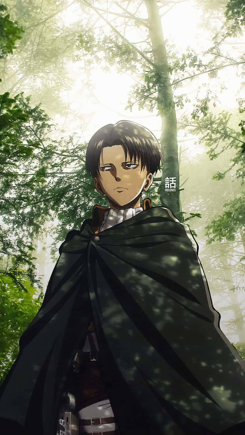 Levi Ackerman, dark cloak, sunlit forest, HD Phone Wallpaper