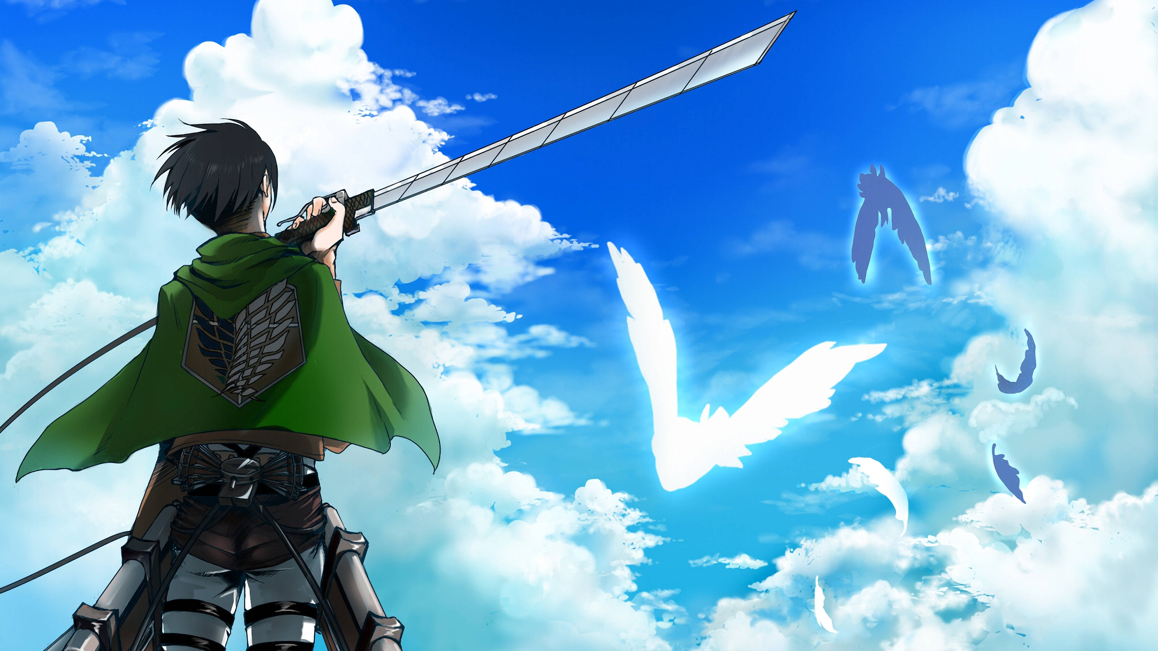 Levi, green cloak, sword, 4K Desktop Wallpaper