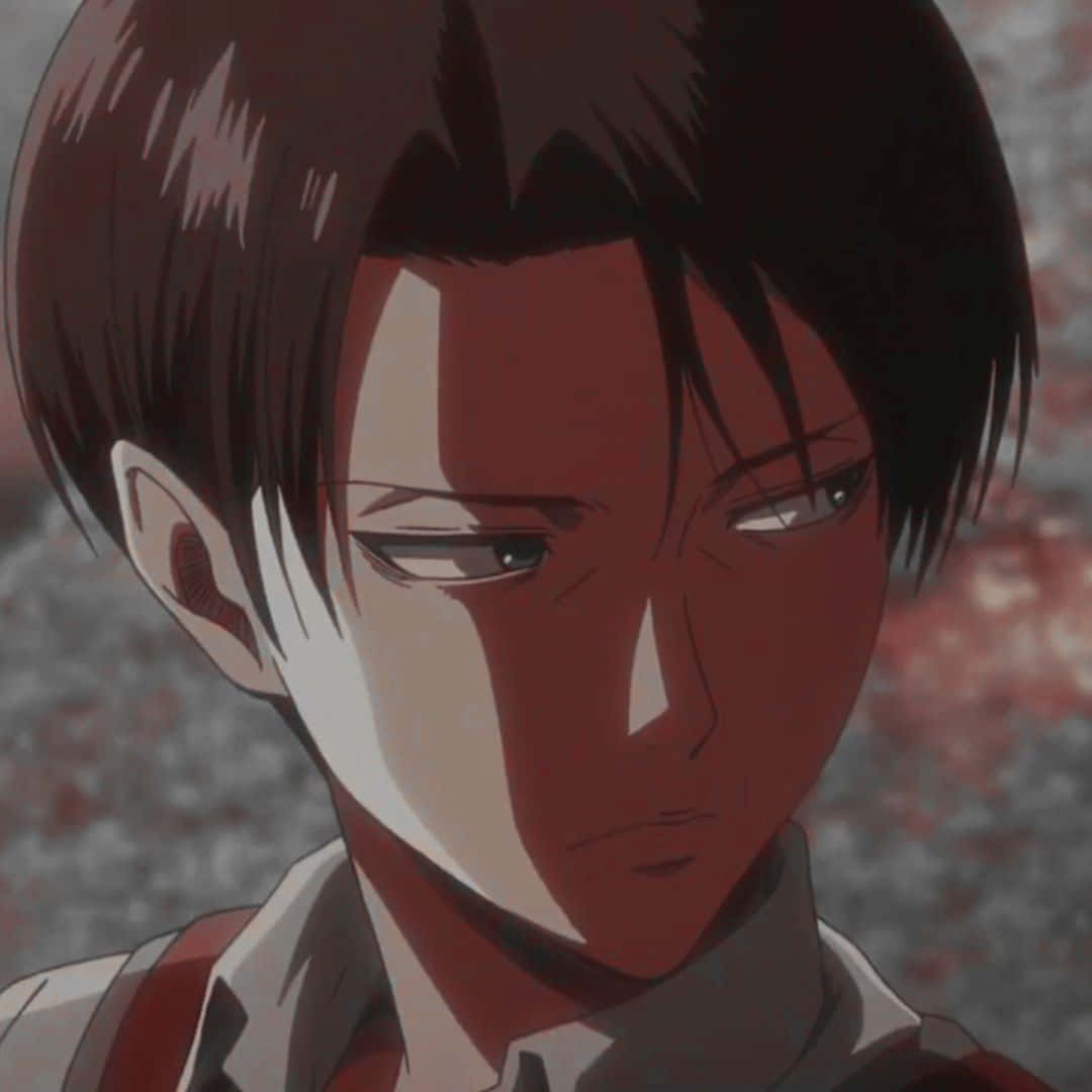 Levi Ackerman, anime portrait, dark hair, SD Desktop Wallpaper
