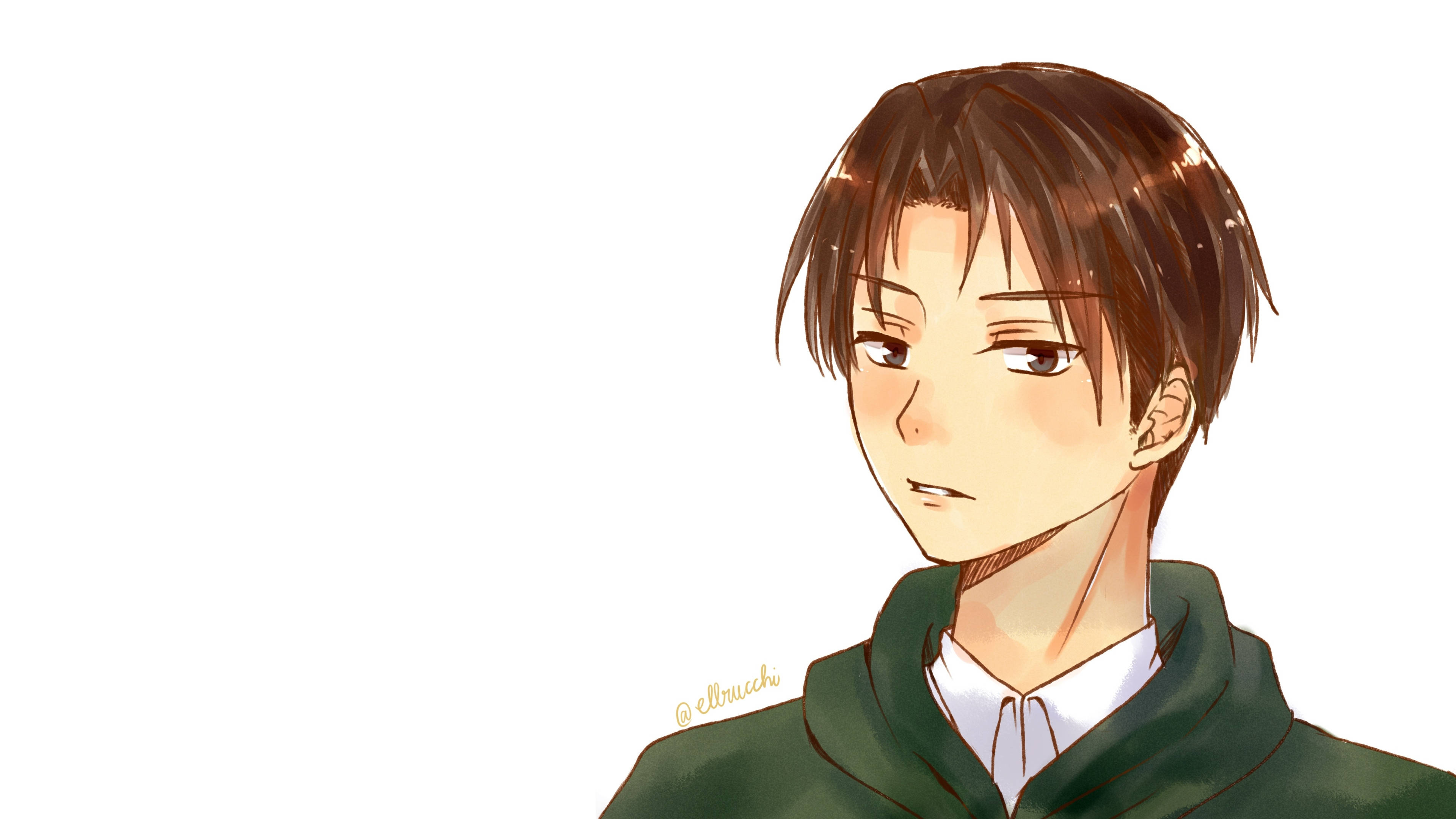 Levi, brown hair, green hoodie, 4K Desktop Wallpaper