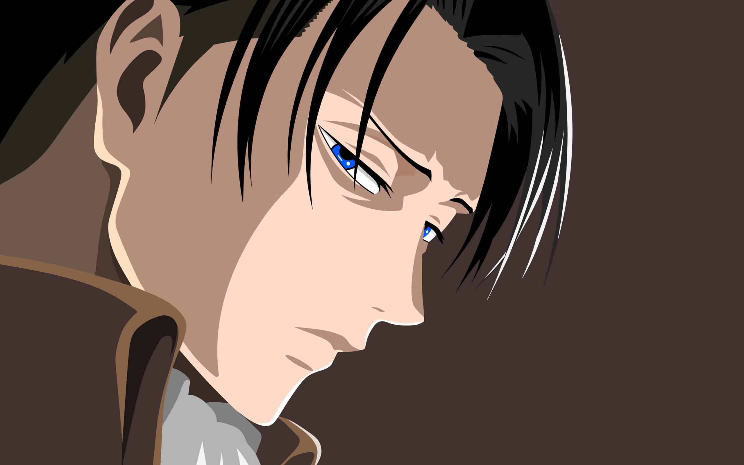 Levi Aesthetic, brown, intense blue eyes, 2K Desktop Wallpaper