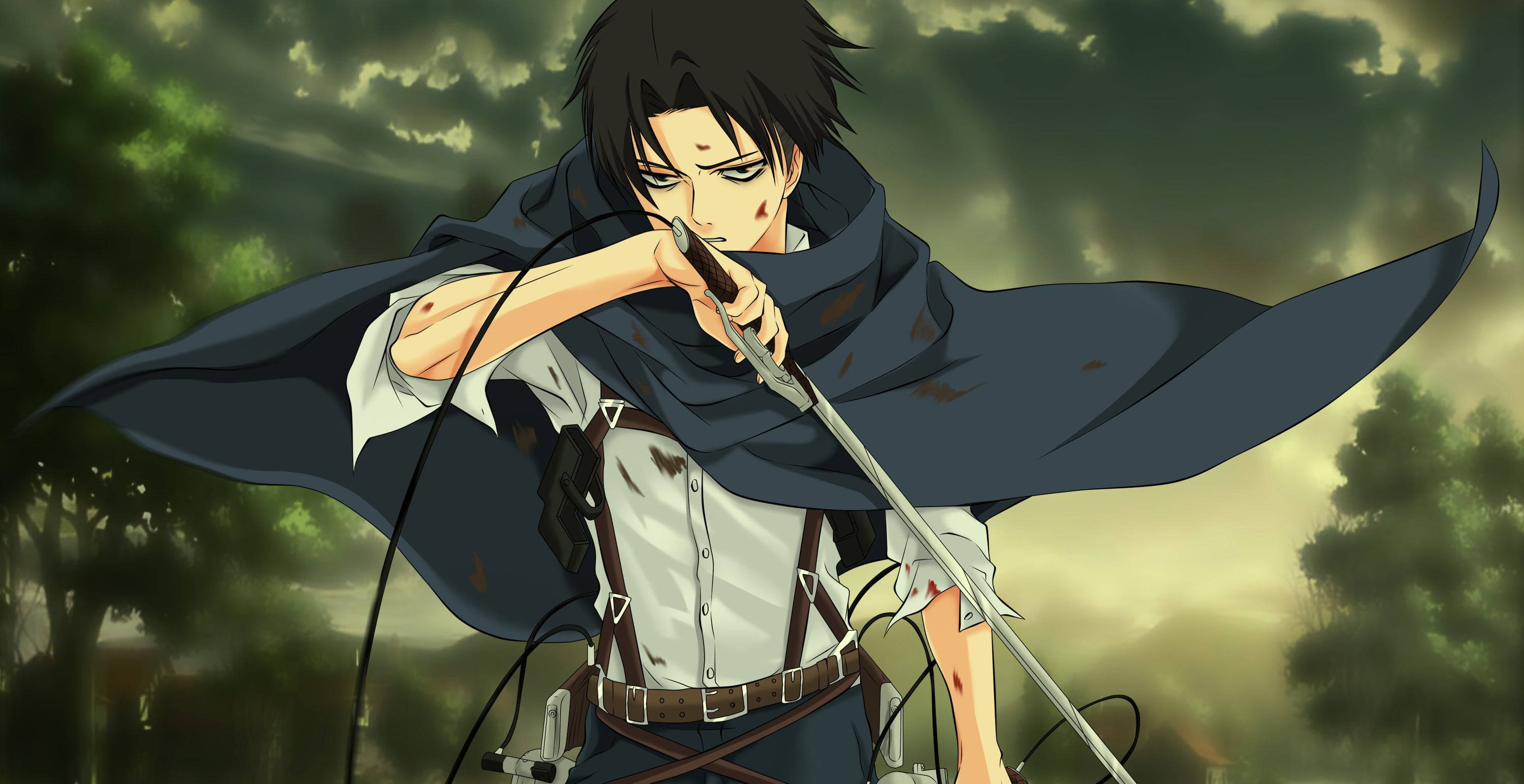 Levi Aesthetic, anime warrior, dark cloak, 2K Desktop Wallpaper