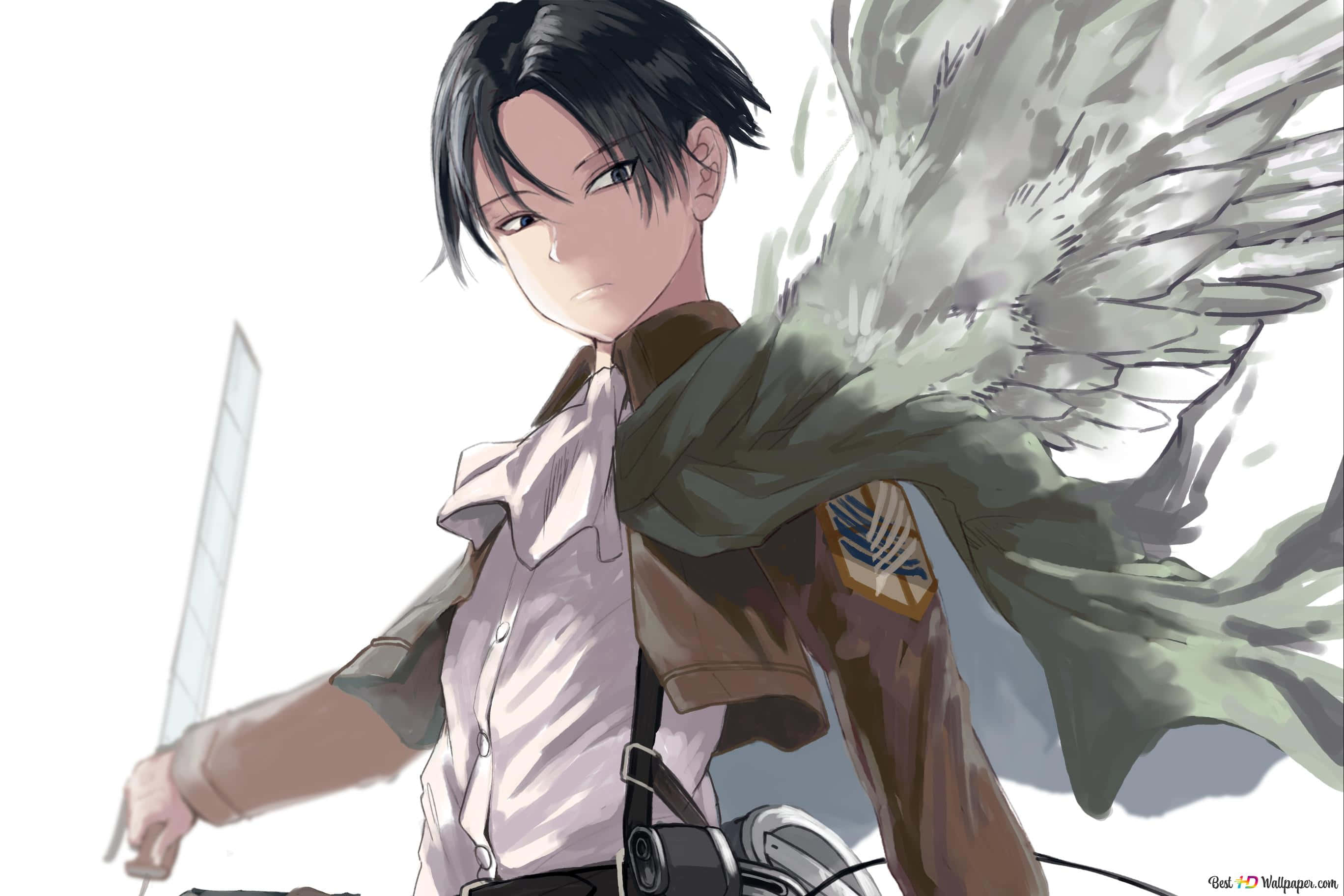 Levi, Attack on Titan, dark hair, 2K Desktop Wallpaper