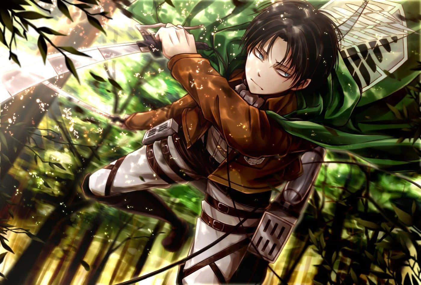 Levi, Attack On Titan, green cloak, HD Desktop Wallpaper