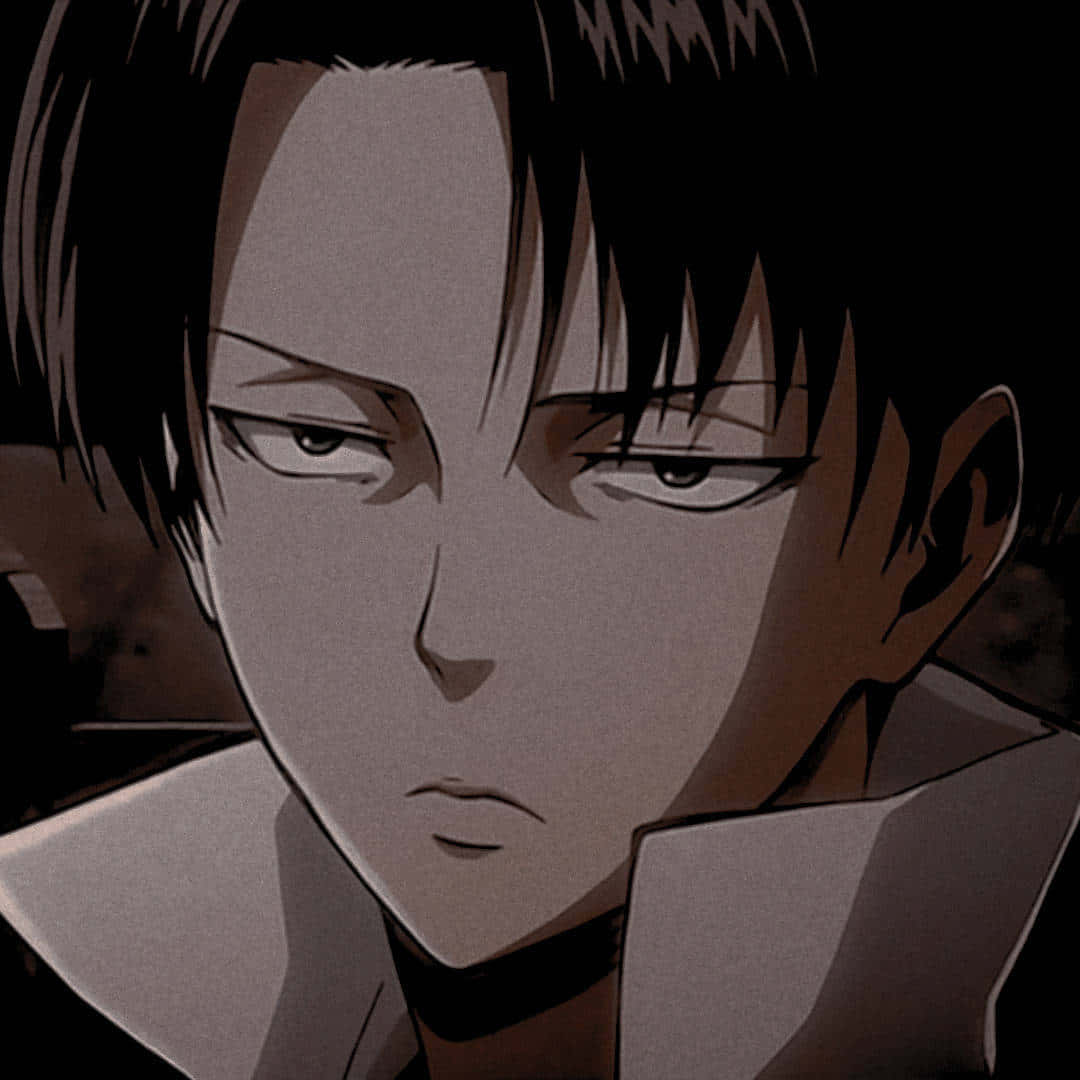 Levi PFP, anime character, intense eyes, SD Desktop Wallpaper