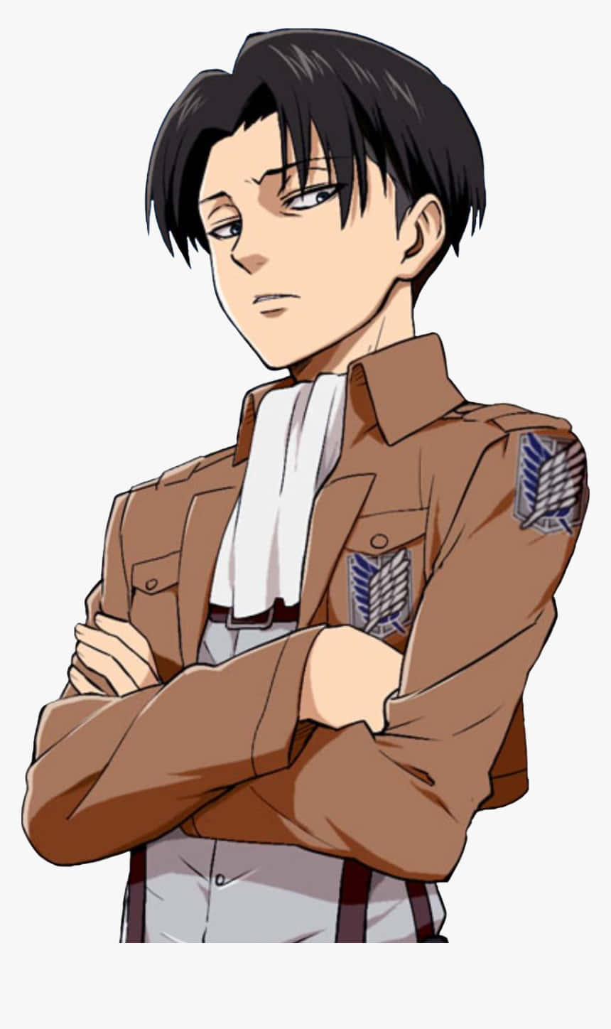 Levi PFP, brown military uniform, arms crossed, HD Phone Wallpaper