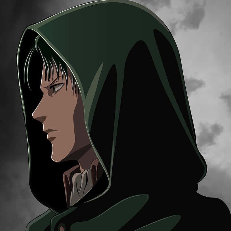 Levi PFP, hood up, dark green hooded cloak, SD Desktop Wallpaper