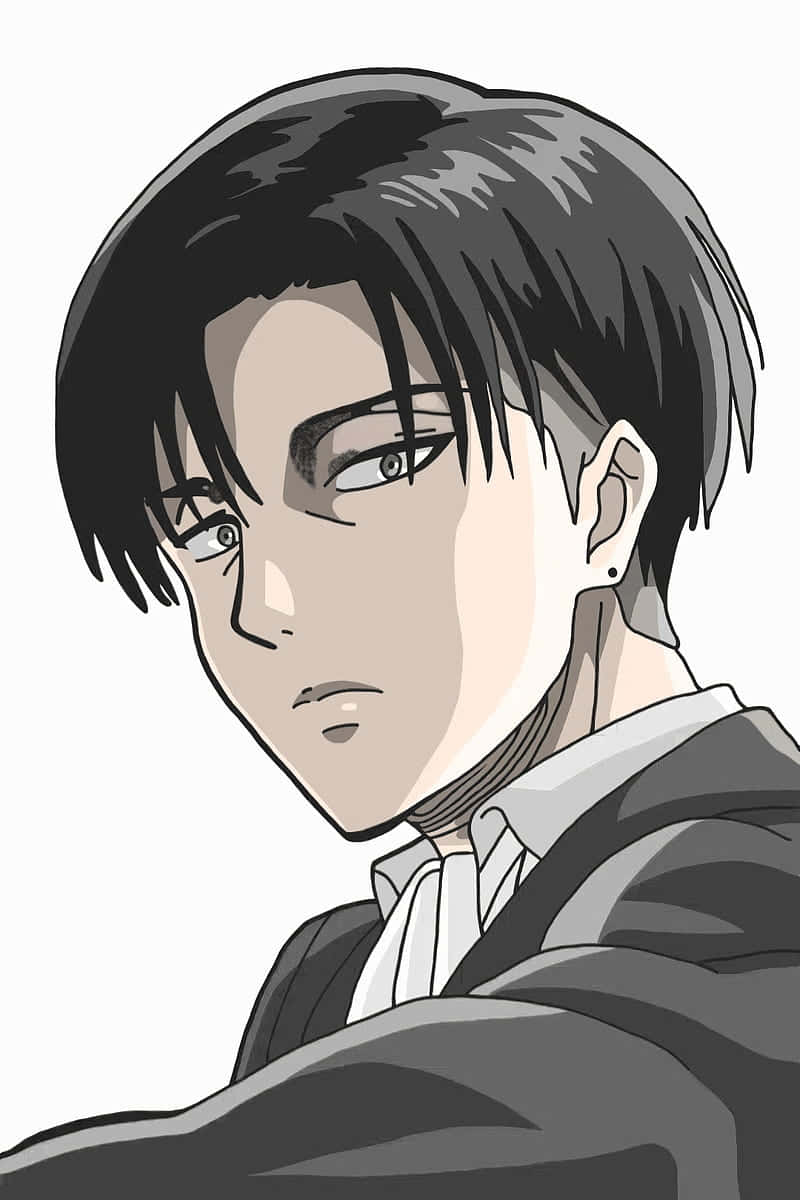Monotone Levi PFP, anime portrait, young man, SD Phone Wallpaper