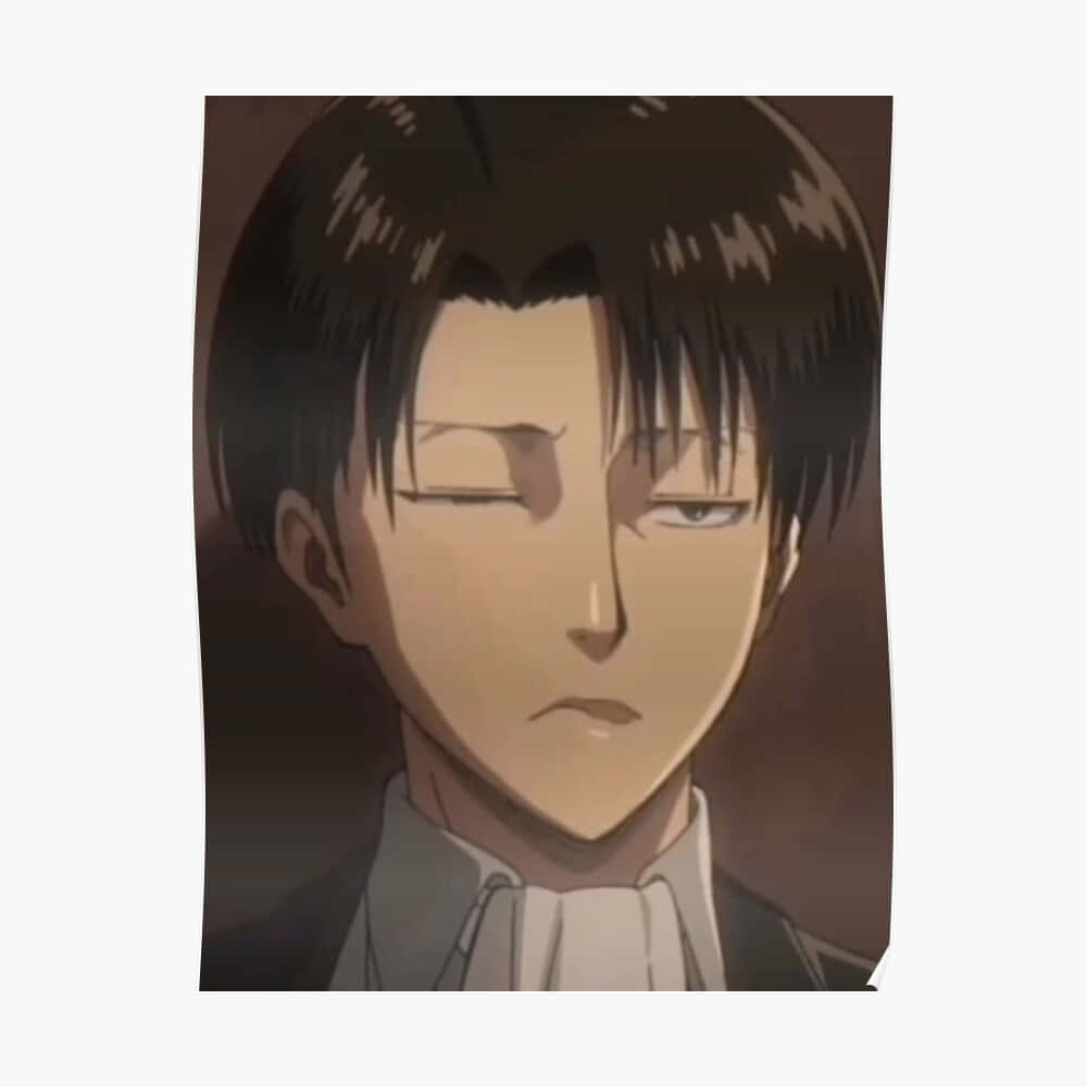 Levi PFP, lip bite, anime portrait, SD Desktop Wallpaper