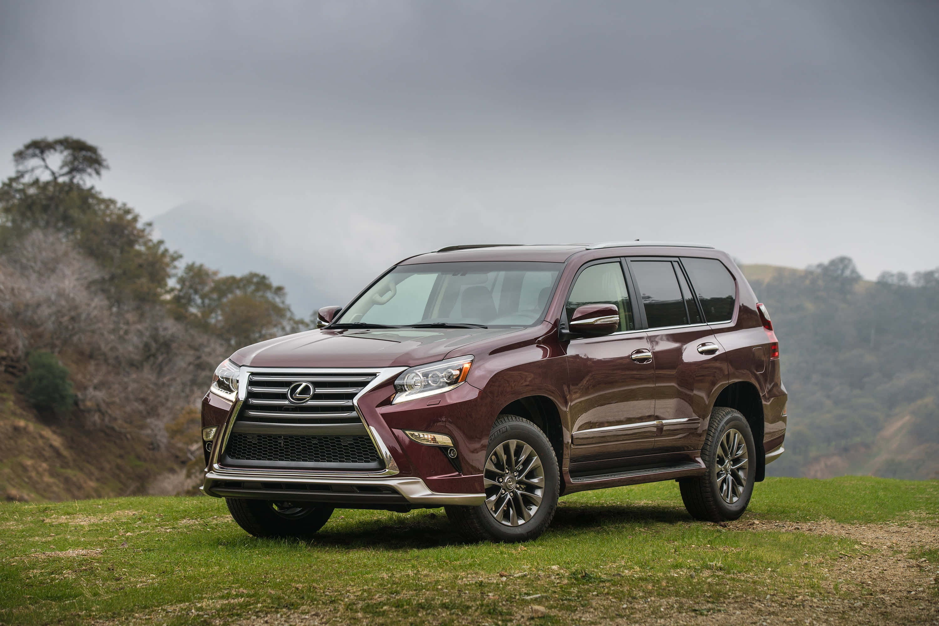 Lexus GX 460, maroon, grassy hillside, 2K Desktop Wallpaper