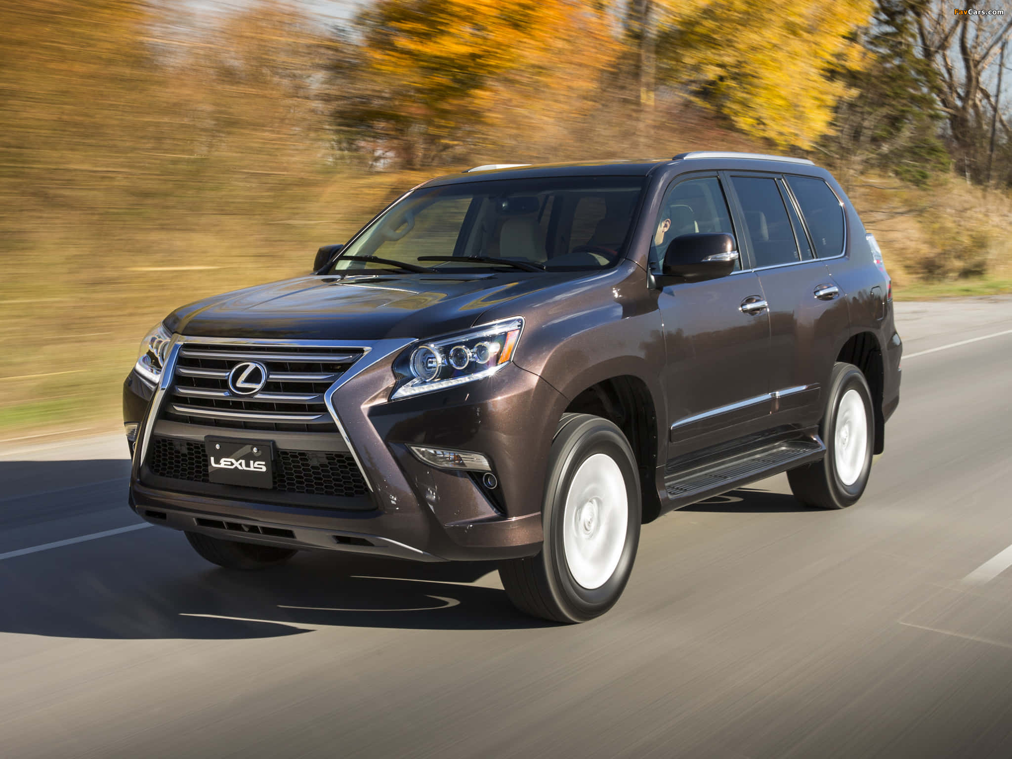 Lexus GX 460, brown, autumn trees, Full HD Desktop Wallpaper
