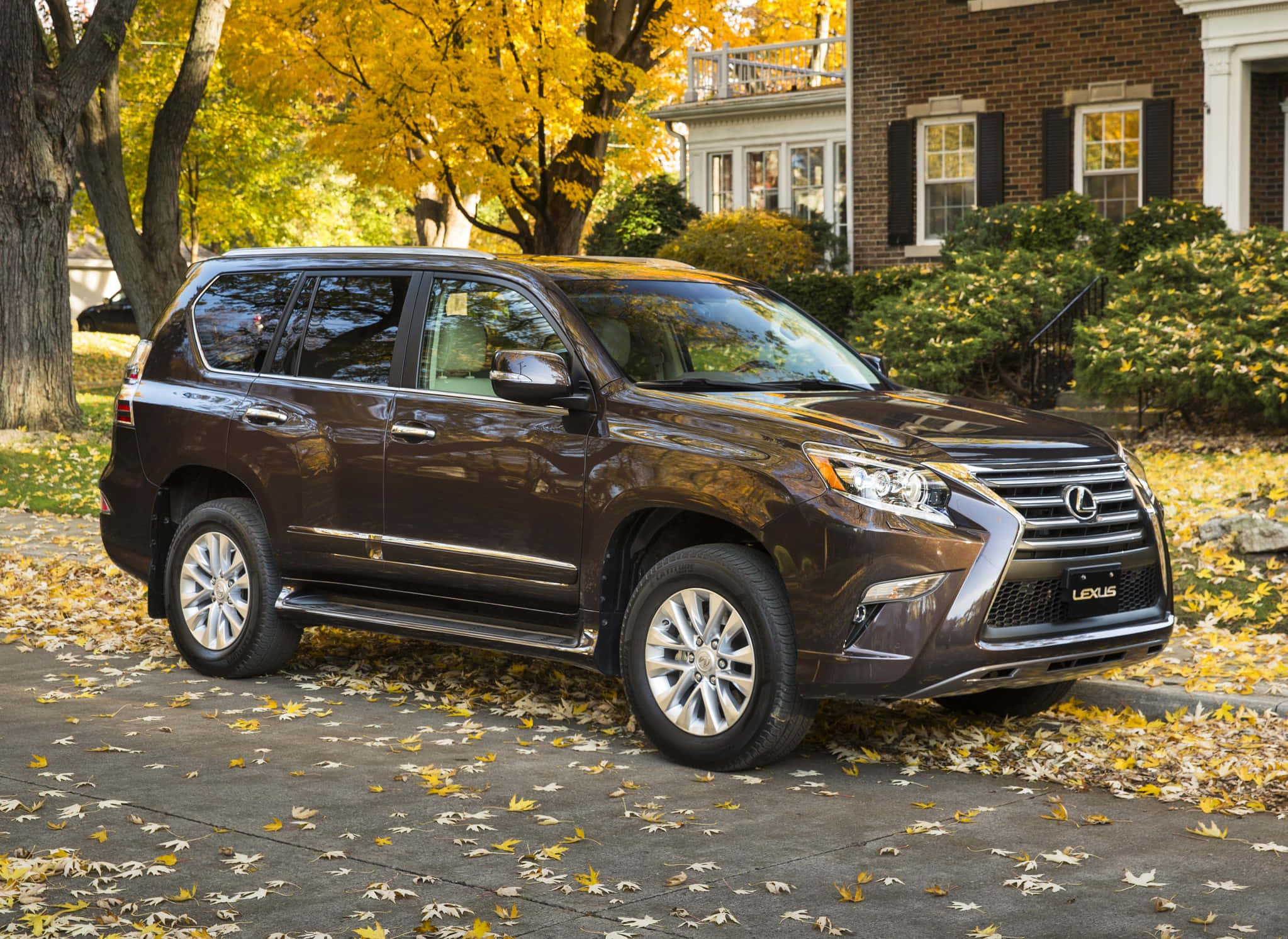 Lexus GX 460, brown, leaf-strewn driveway, Full HD Desktop Wallpaper