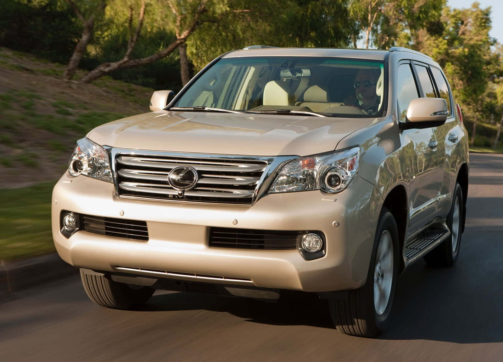 Lexus GX 460, beige, tree-lined road, HD Desktop Wallpaper