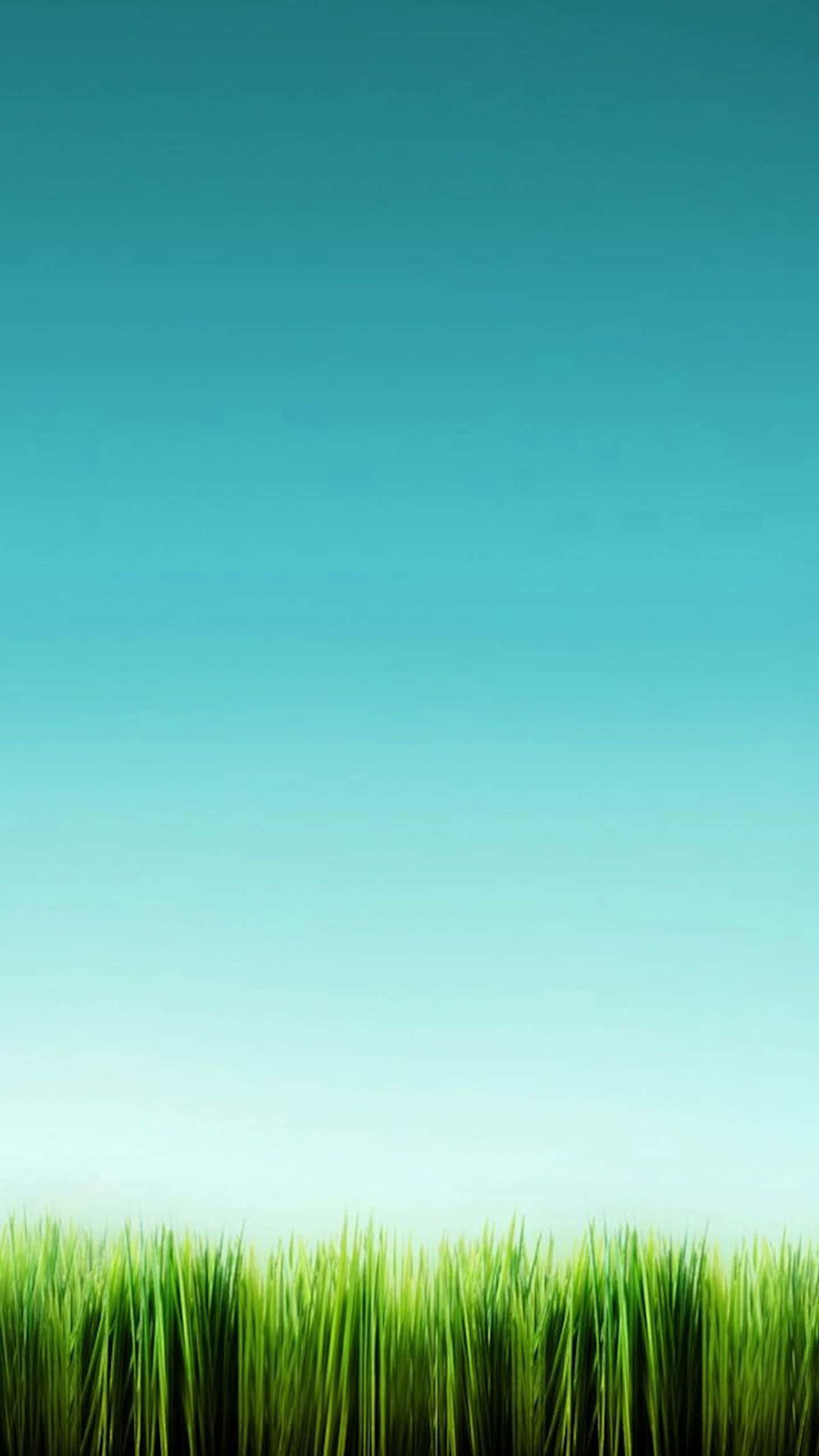 LG G4, Tall Grass, vibrant green, 2K Phone Wallpaper