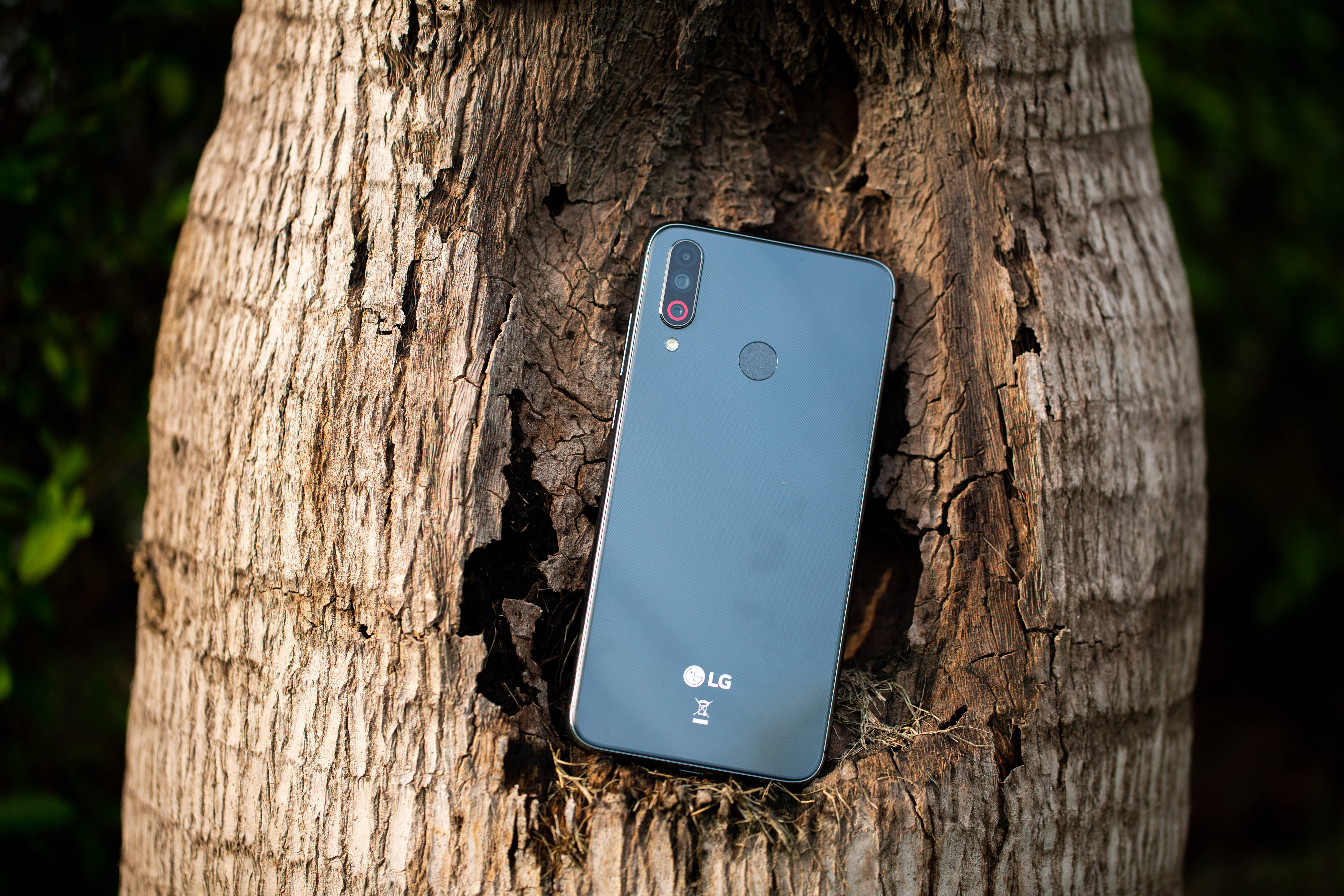 LG Phone, sleek blue, tree trunk, 5K Desktop Wallpaper