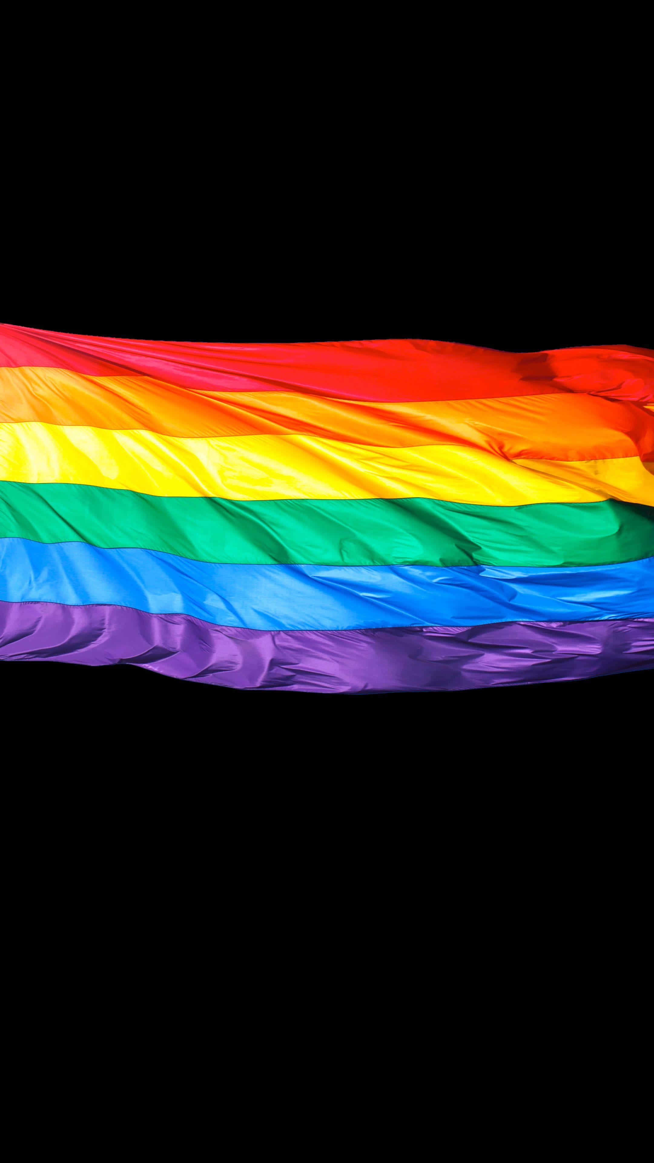 rainbow LGBT flag, bright sunny day, stark black background, 4K Phone Wallpaper
