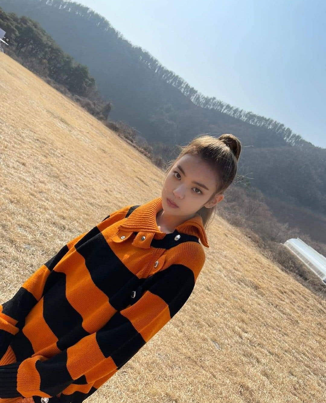 Lia, orange and black striped sweater, dry grassy field, HD Phone Wallpaper