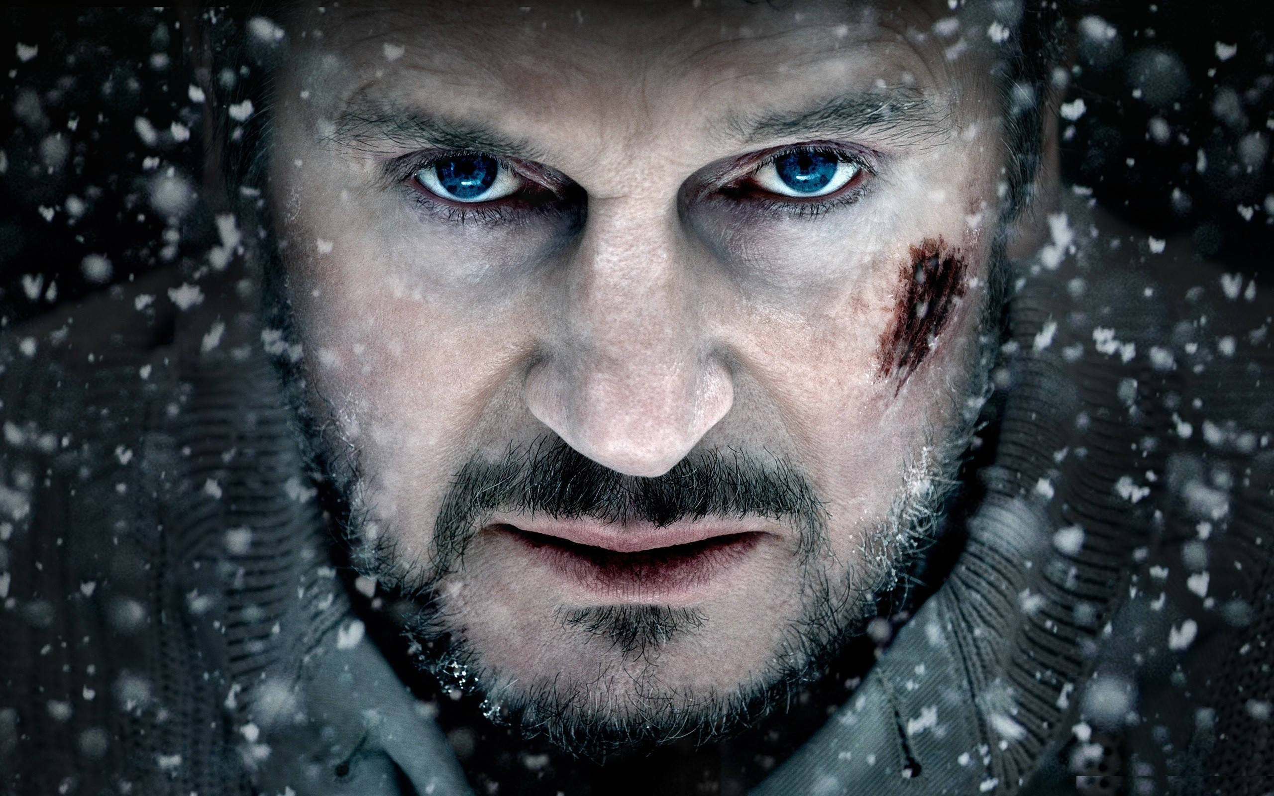 Liam Neeson, Winter Snow, The Grey, 2K Desktop Wallpaper
