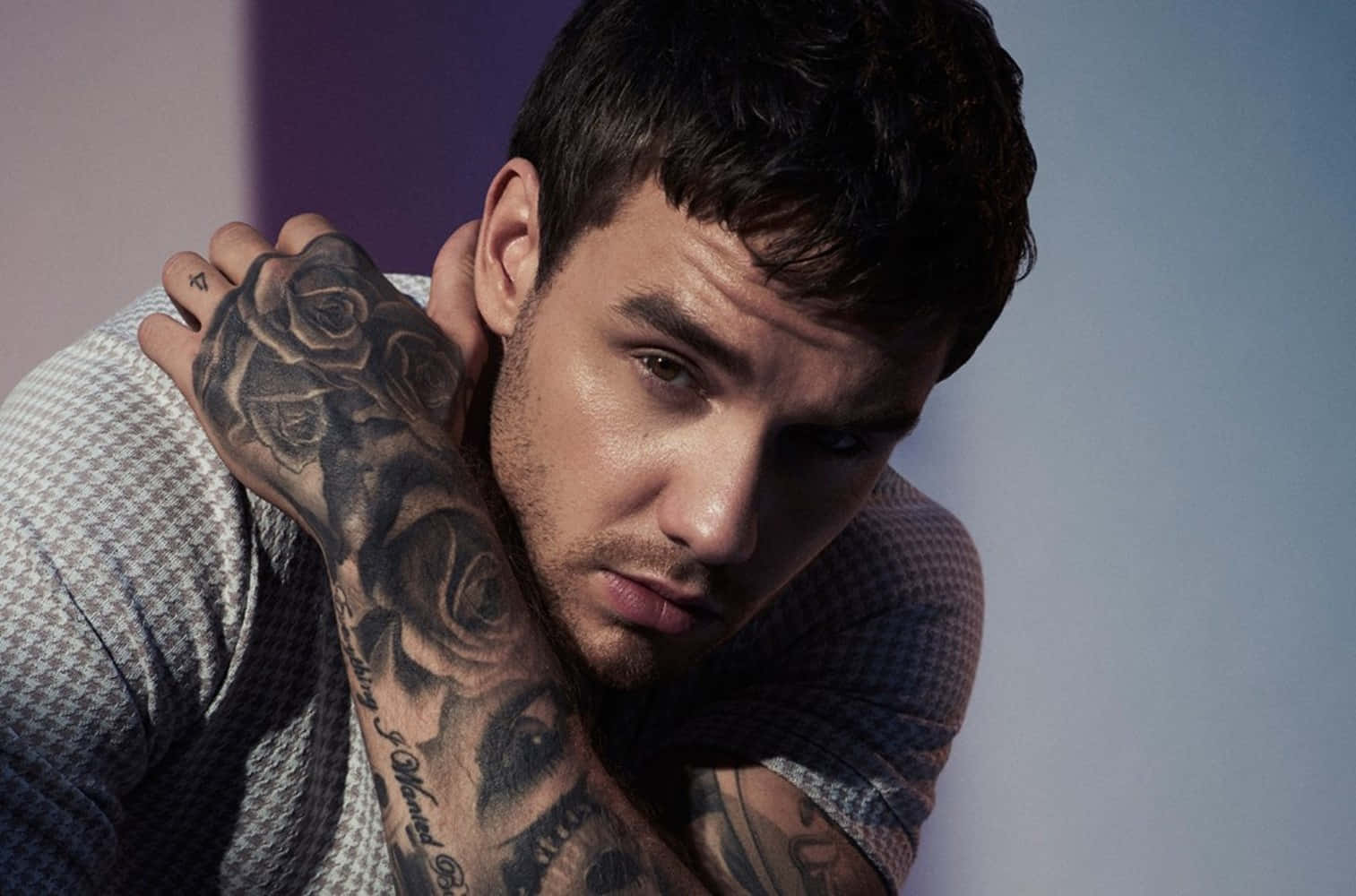 Liam Payne, rose tattoos, dark hair, HD Desktop Wallpaper