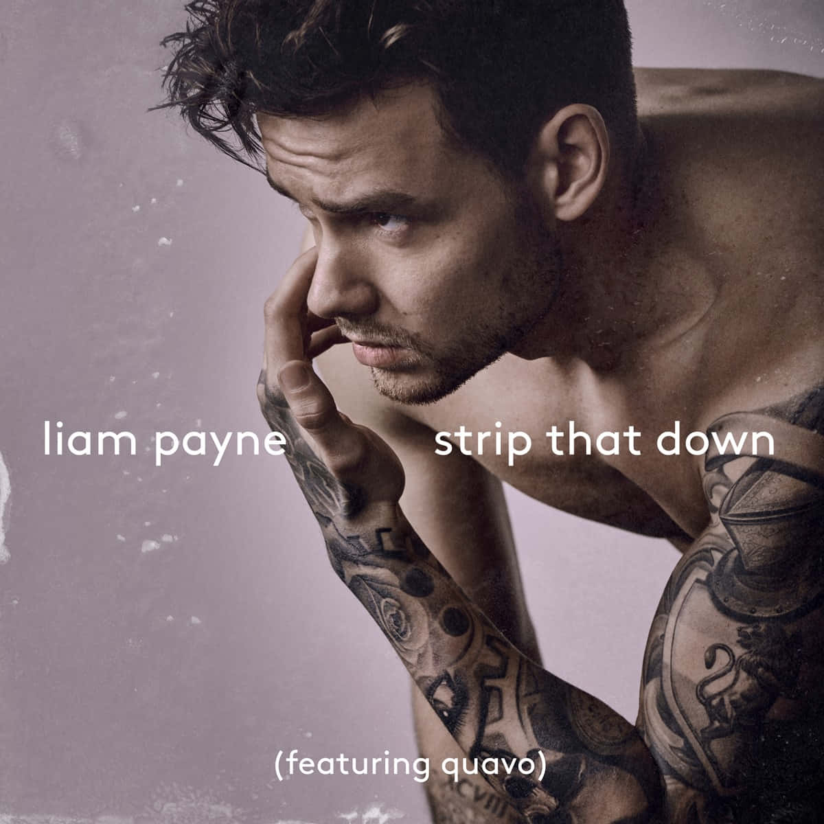 Liam Payne, tattoos, muted purple wall, SD Desktop Wallpaper