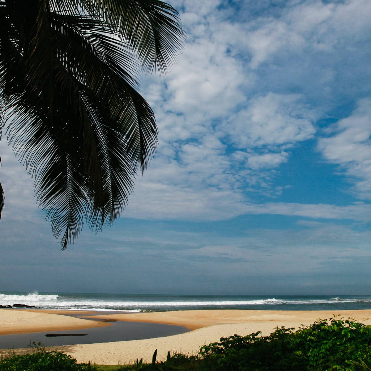 Liberia, brown beach, palm fronds, SD Desktop Wallpaper