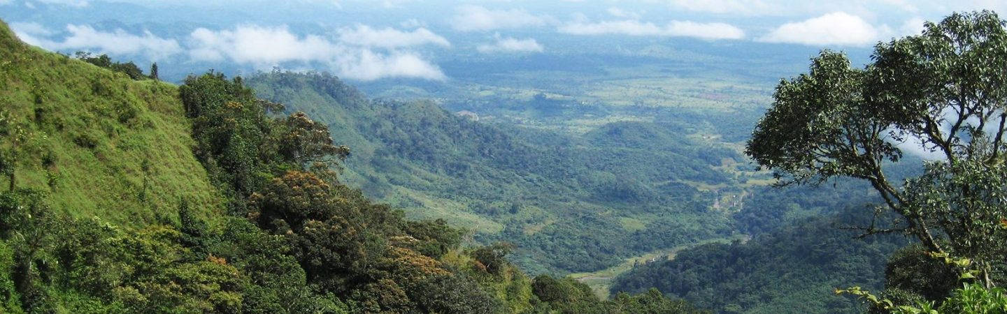 Liberia, clouds, forest, HD Desktop Wallpaper