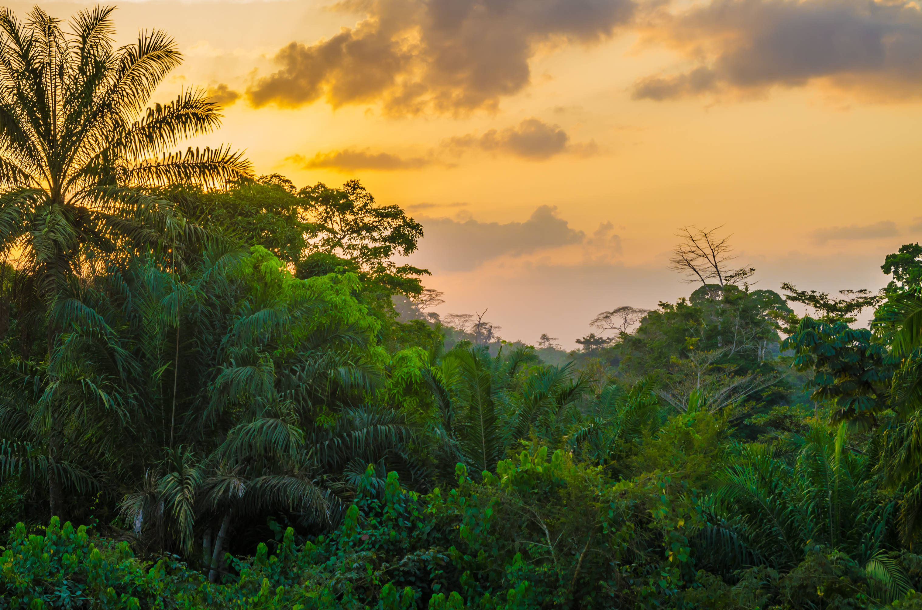 Liberia, Yellow Sky, Sunset, 2K Desktop Wallpaper