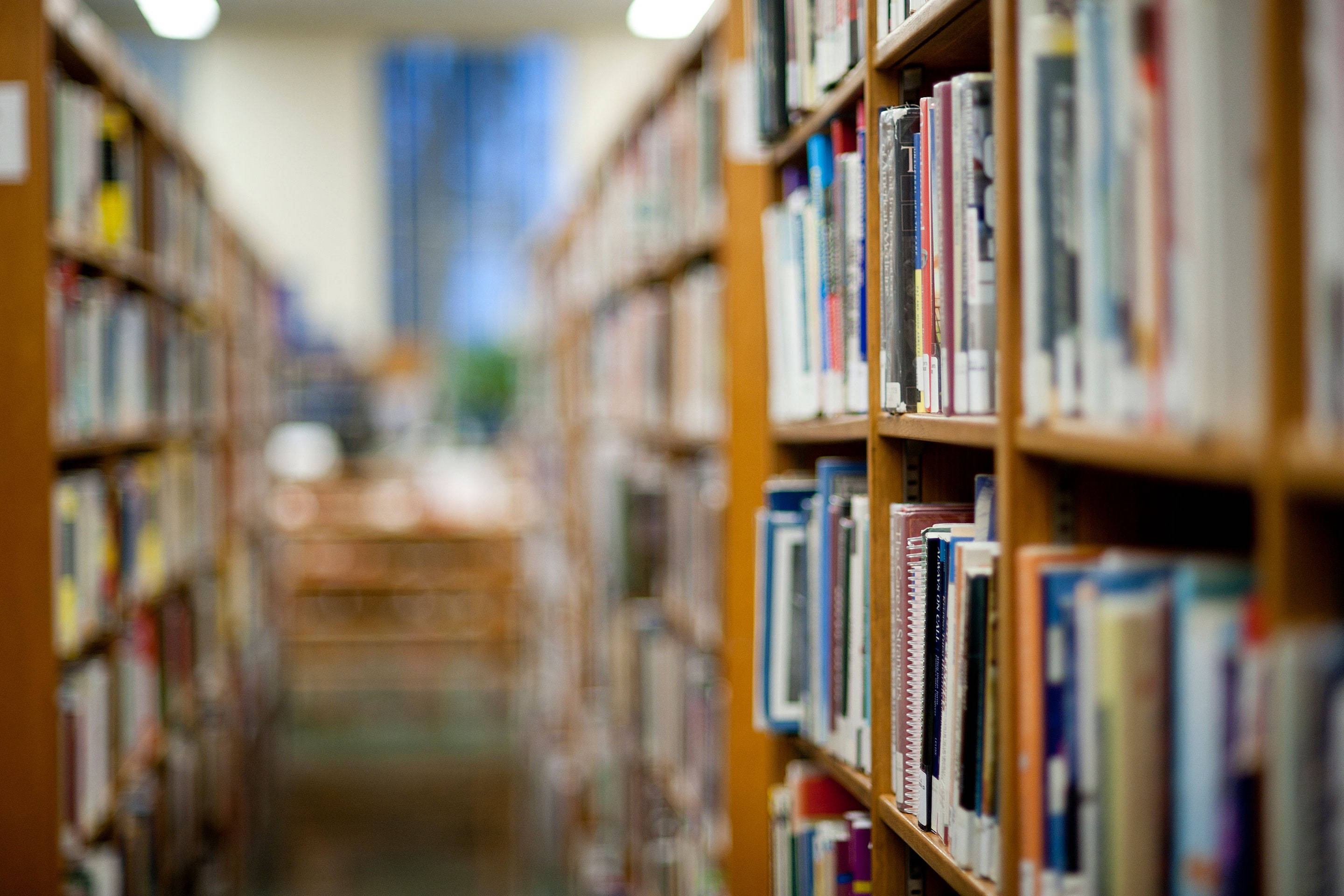 Librarian, library, wooden bookshelves, 2K Desktop Wallpaper