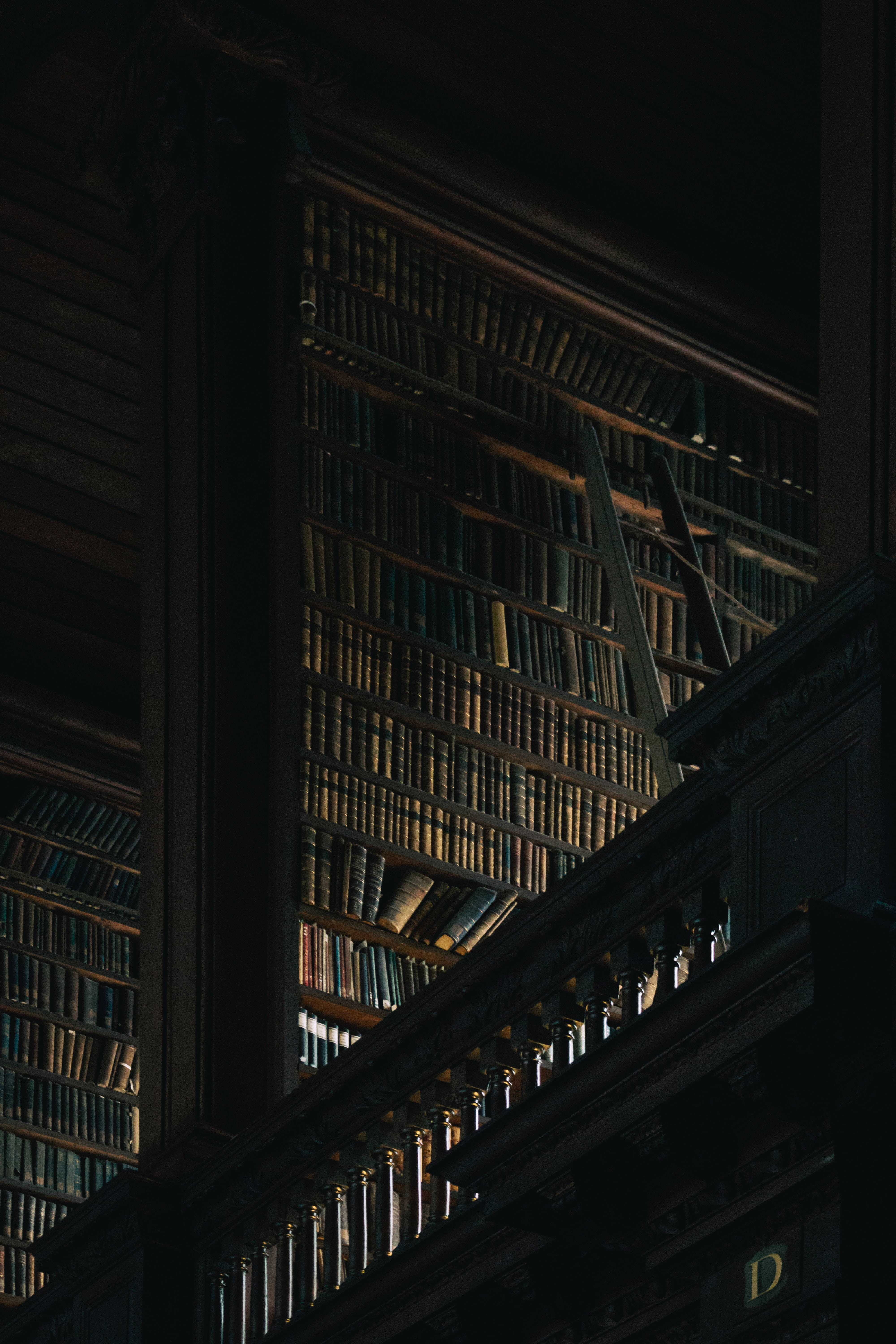 dark library, towering wooden bookshelves, aged books, 5K Phone Wallpaper