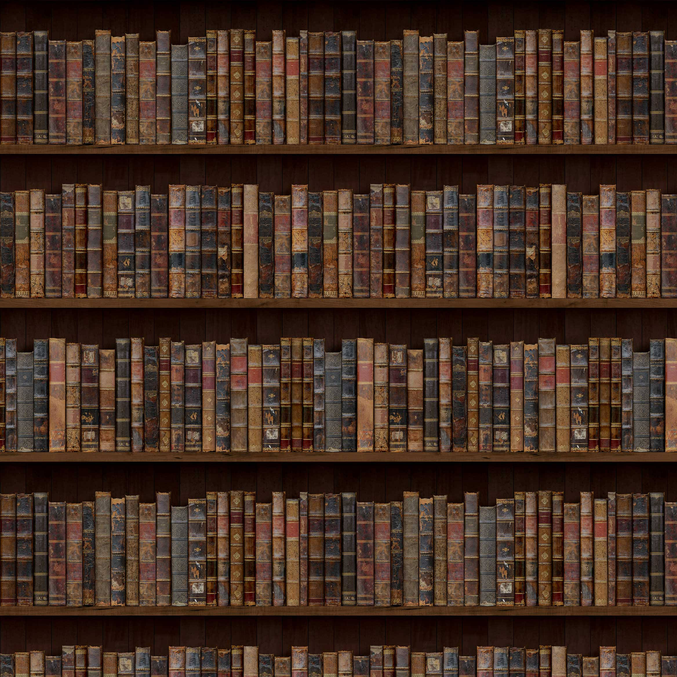 vintage leather-bound books, dark wooden shelves, classic library, Full HD Desktop Wallpaper