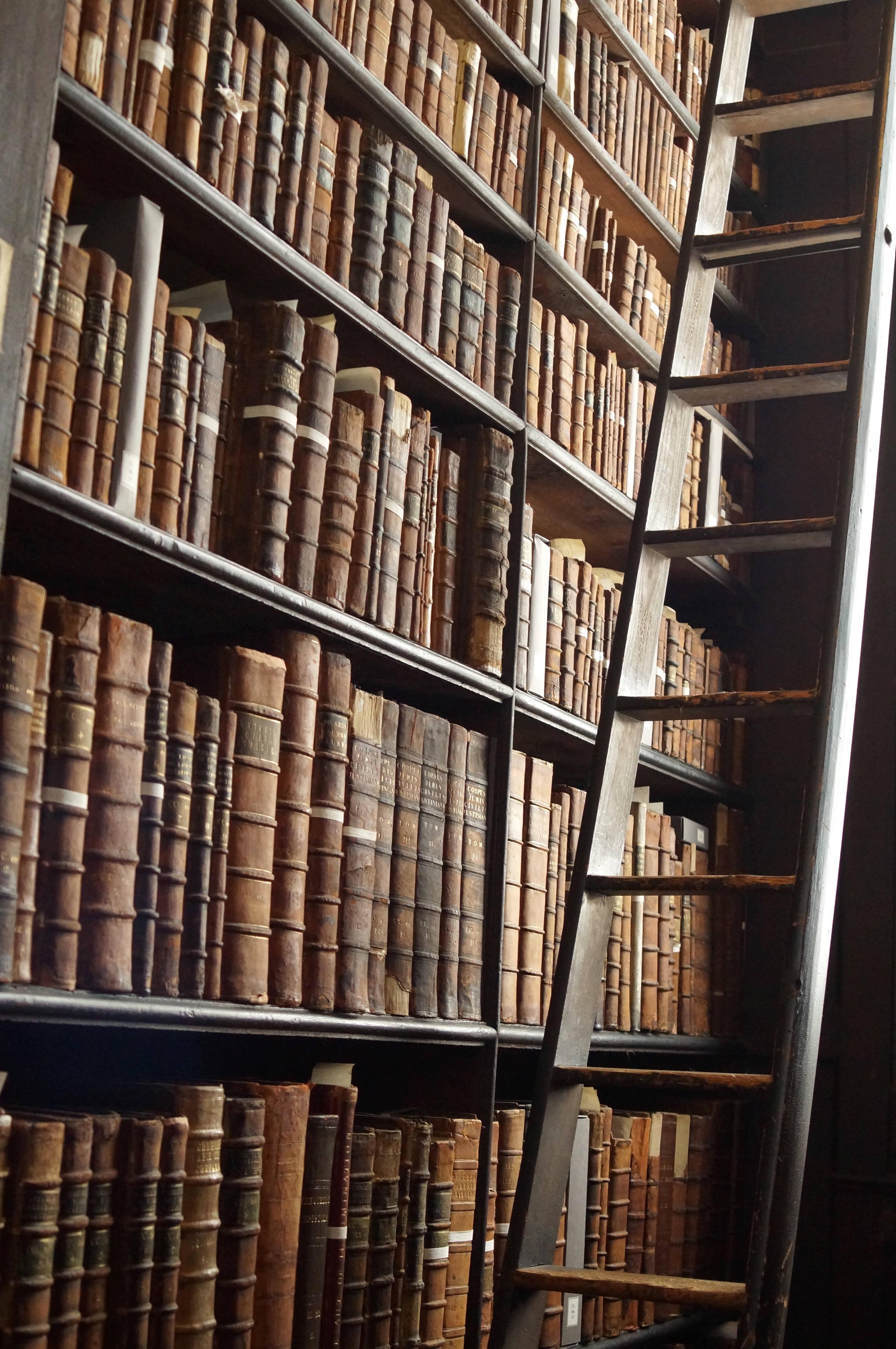 bookshelf, ladder, library, 4K Phone Wallpaper
