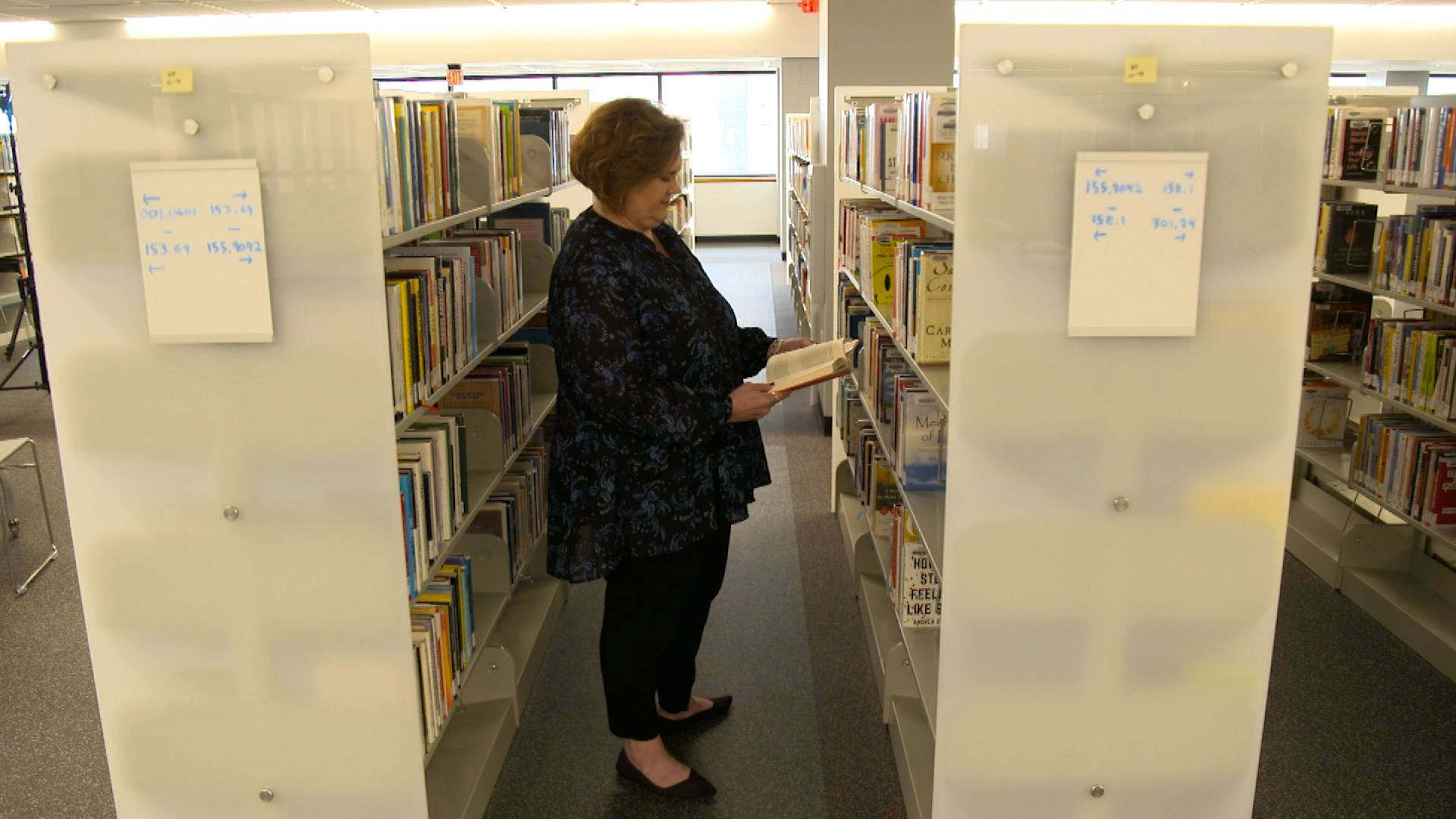Librarian, dark floral blouse, quiet library aisle, Full HD Desktop Wallpaper