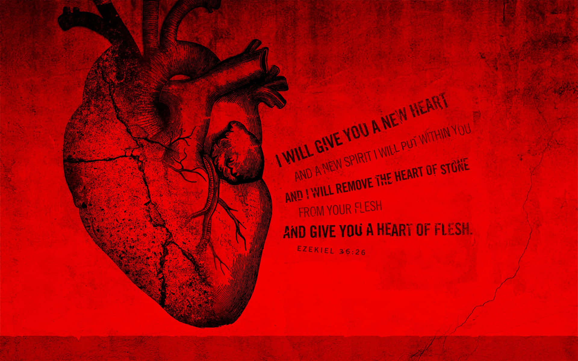 Theology, anatomical heart illustration, textured red background, Full HD Desktop Wallpaper