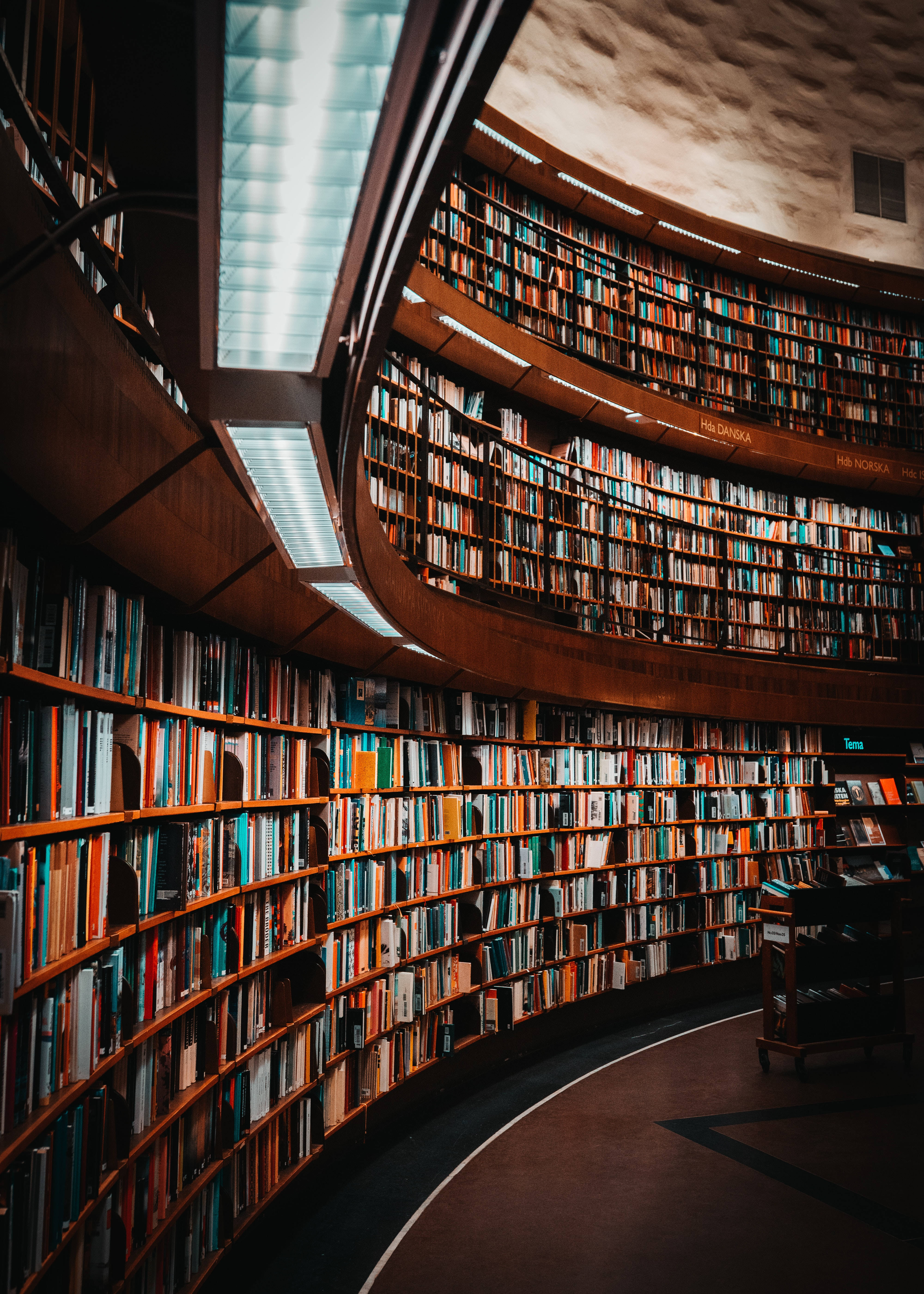 cool contemporary library, spiral library, wooden shelves, 5K Phone Wallpaper
