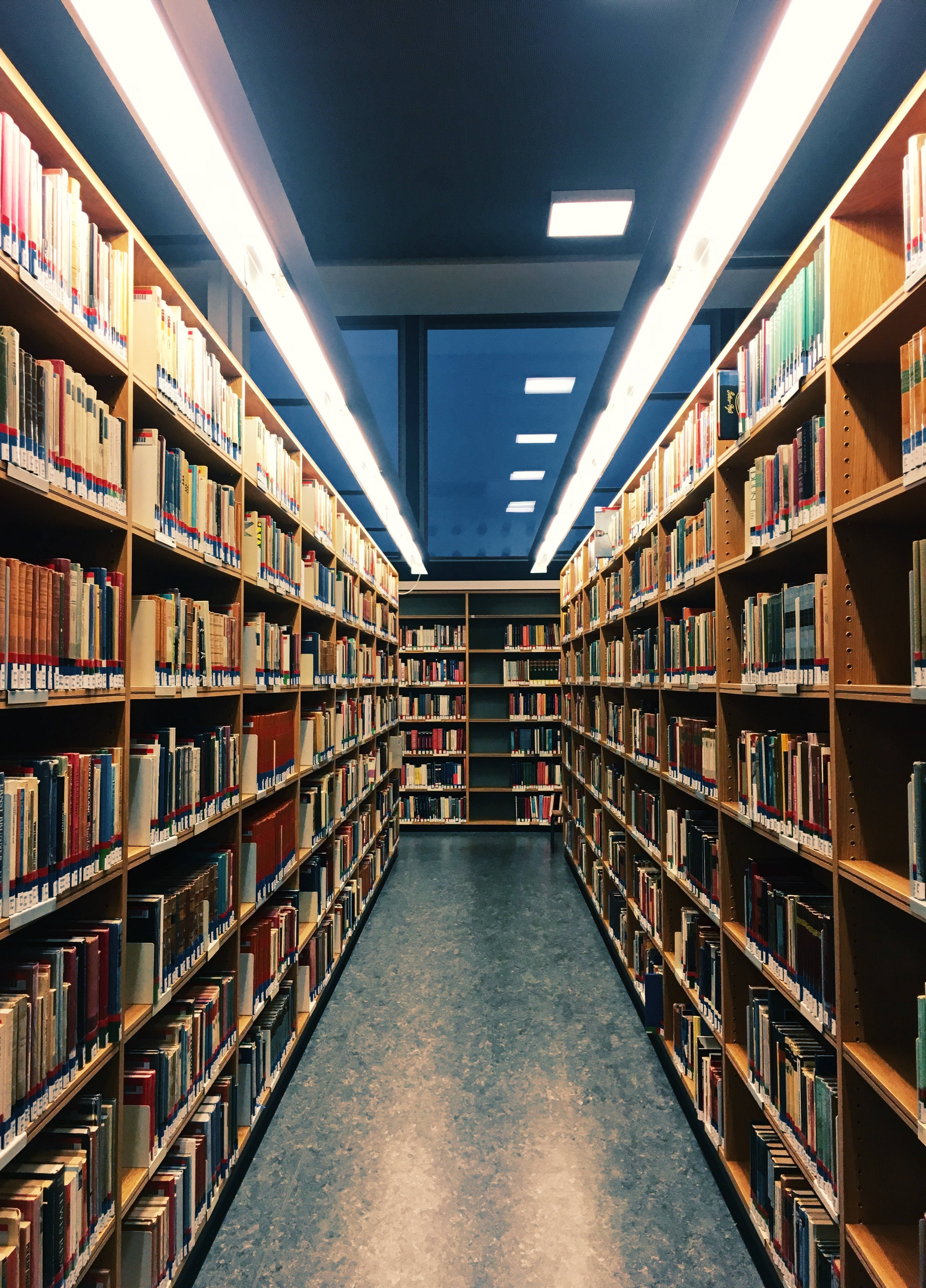 library, wooden bookshelves, fluent lights, 4K Phone Wallpaper