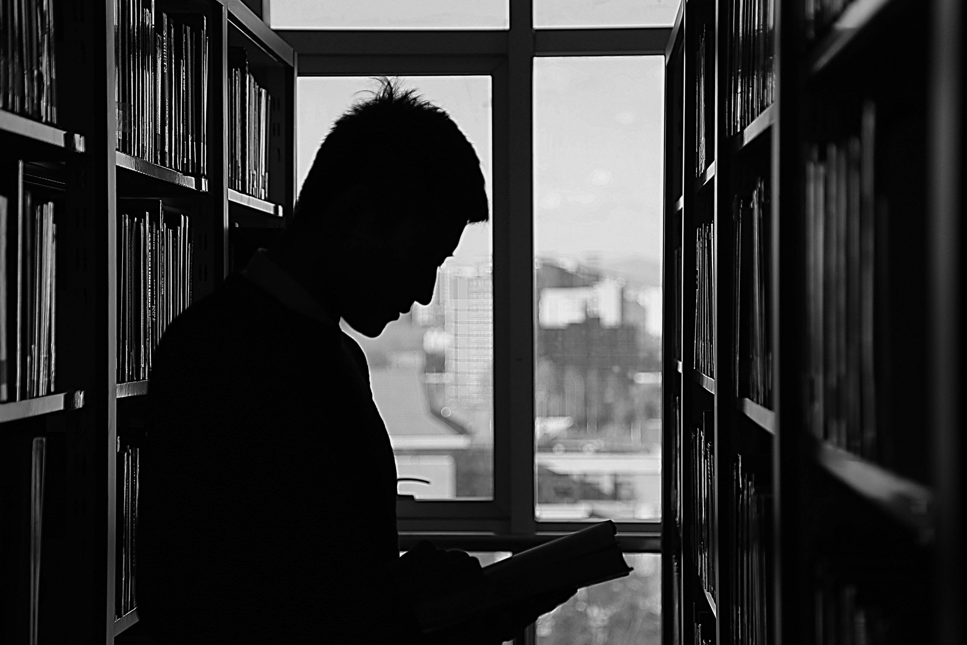 library, bookshelves, cityscape, 2K Desktop Wallpaper