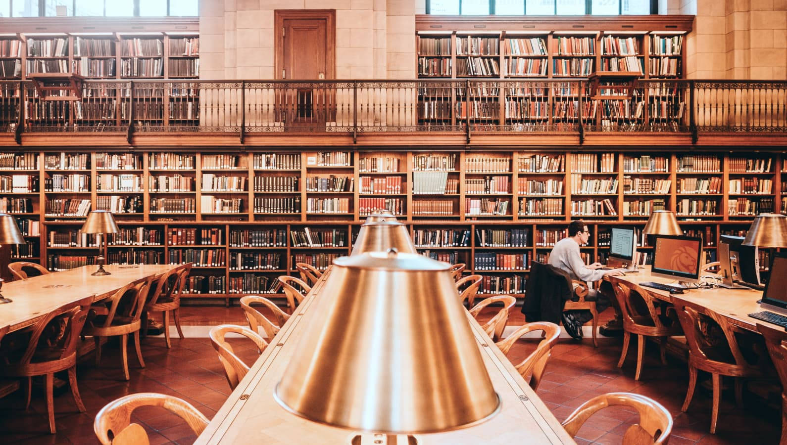 grand library, towering wooden bookshelves, warm lamplight, HD Desktop Wallpaper